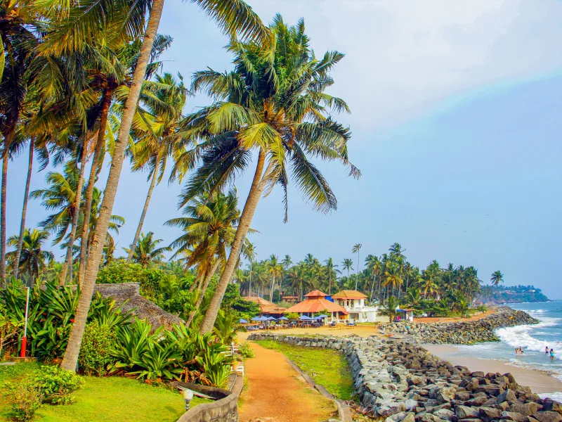 Kerala — Post-monsoon green
