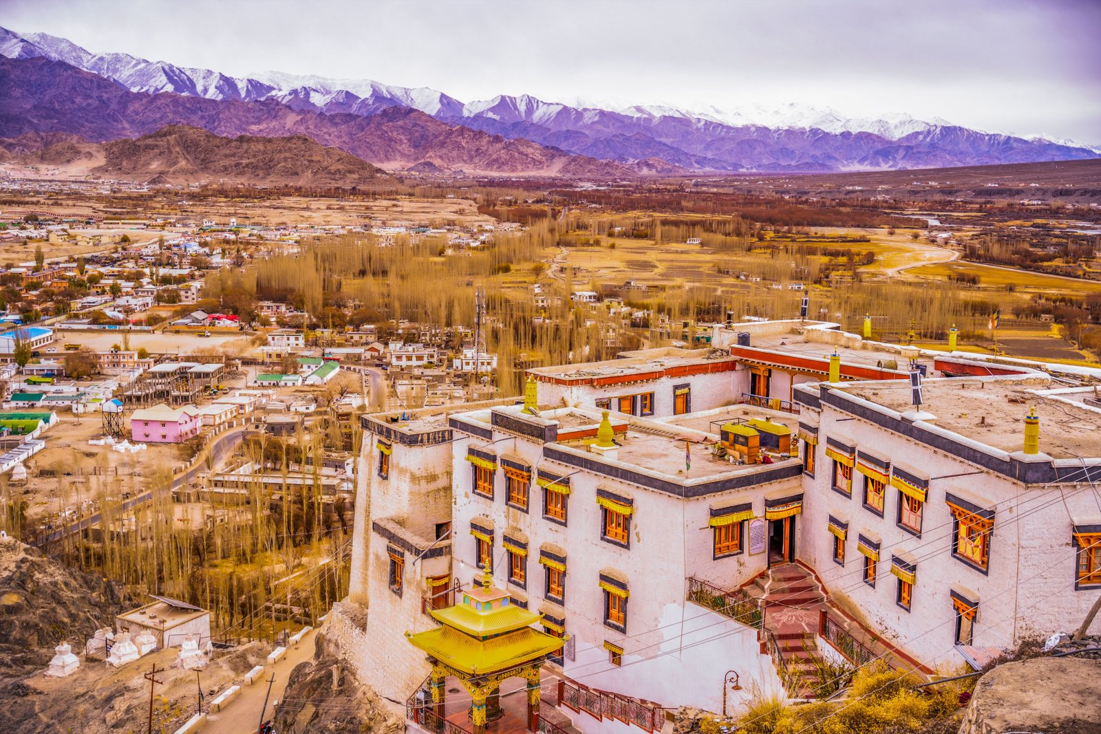 Leh Arrival and Gentle Acclimatisation photo 1
