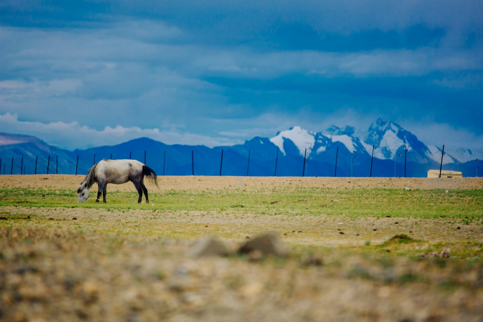 Hanle to Tso Moriri
