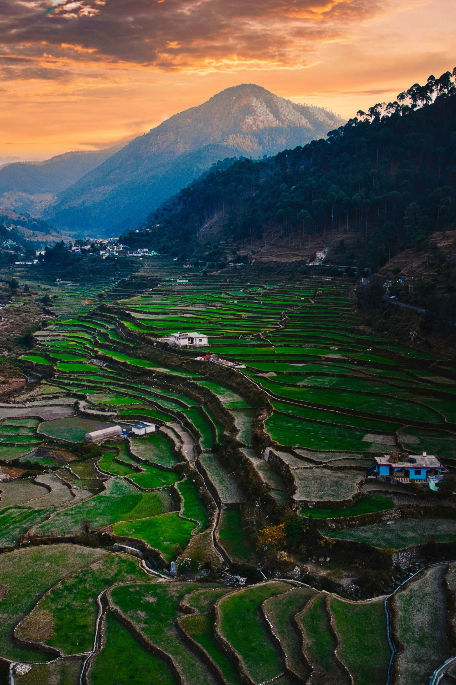 Kausani to Ranikhet photo 2
