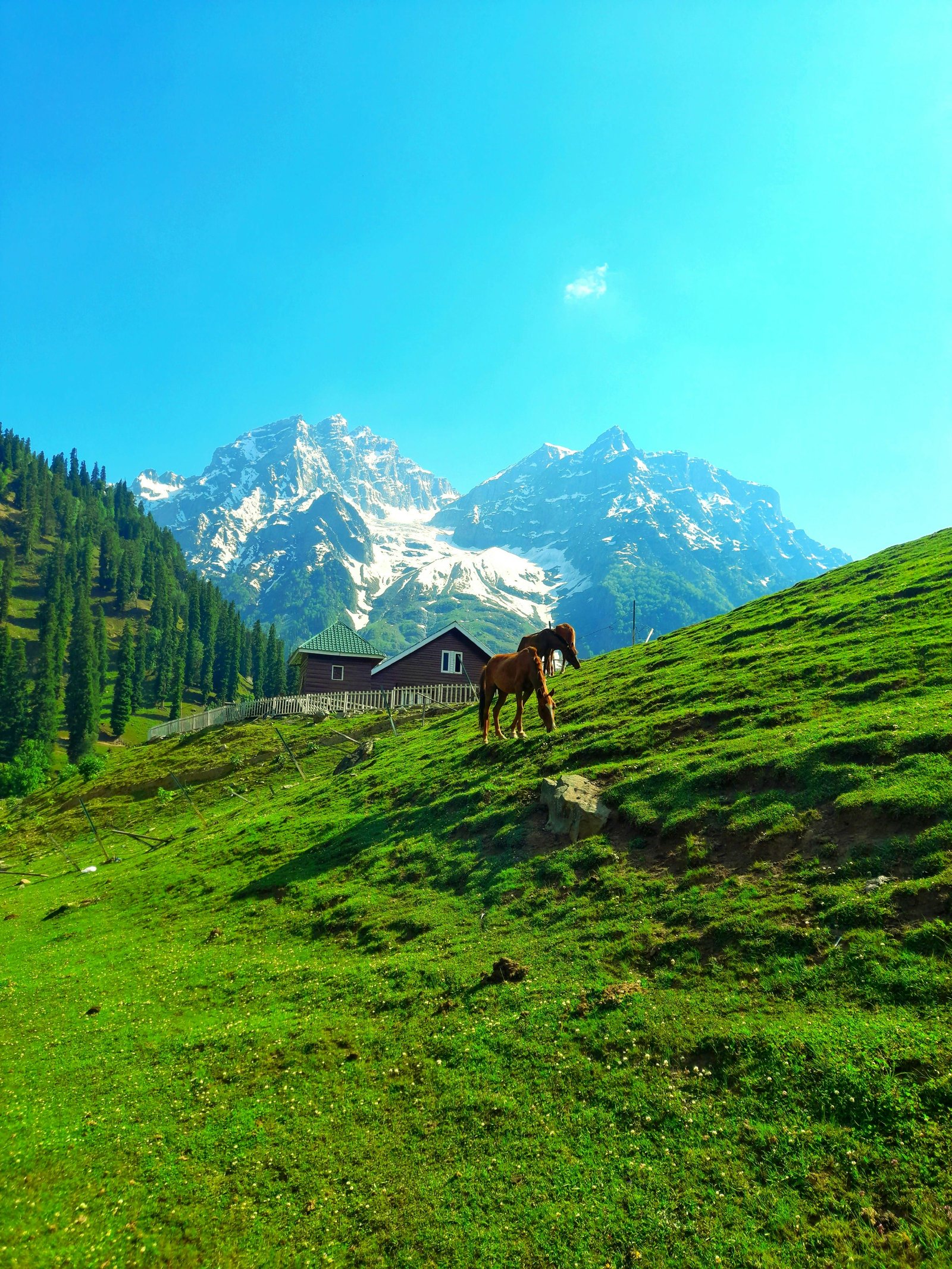 Gurez Valley Explorer | 6 Nights 7 Days