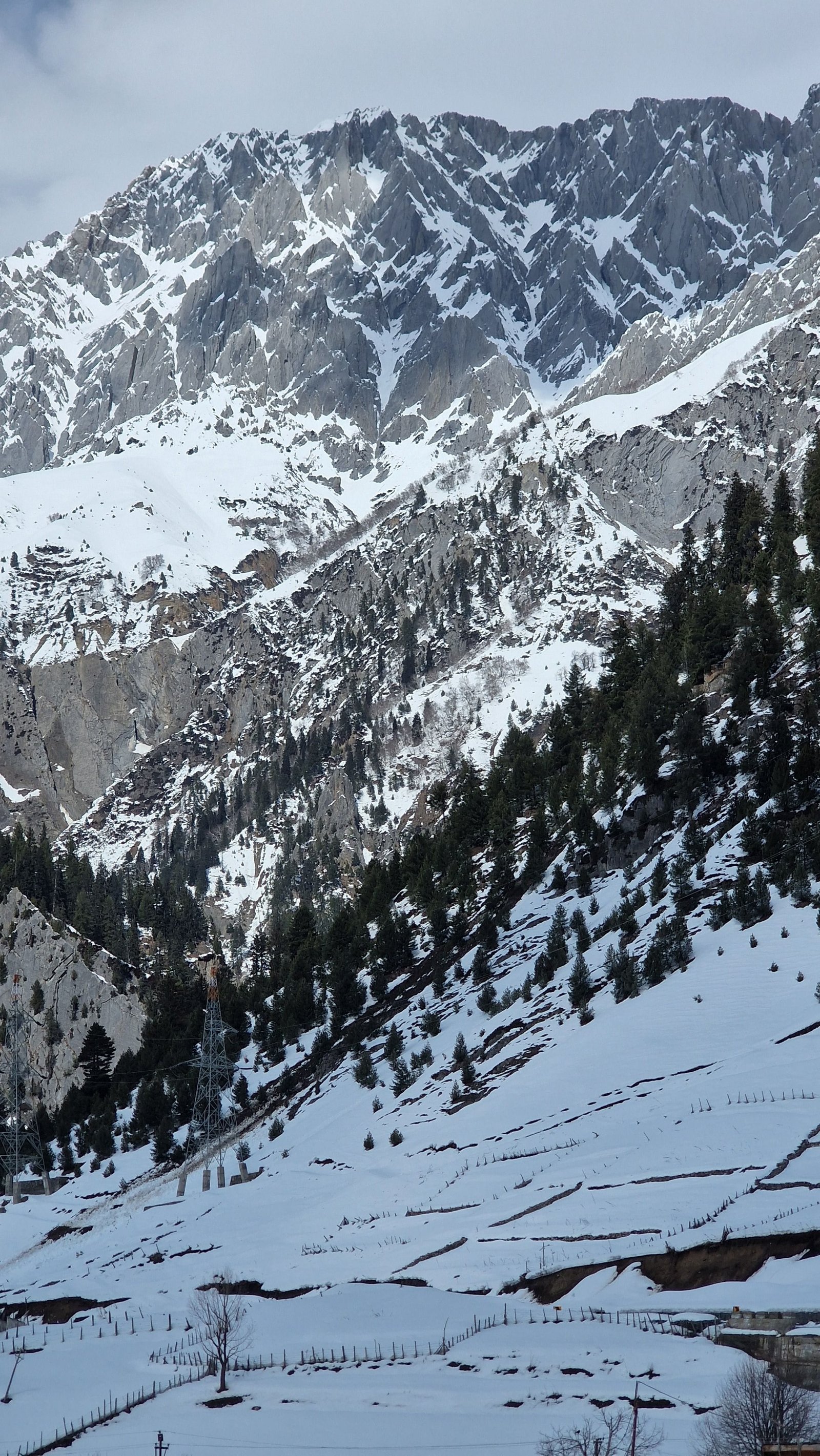 Pahalgam Winter Valleys