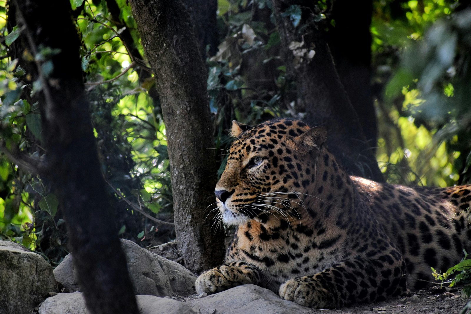 Delhi to Corbett photo 1