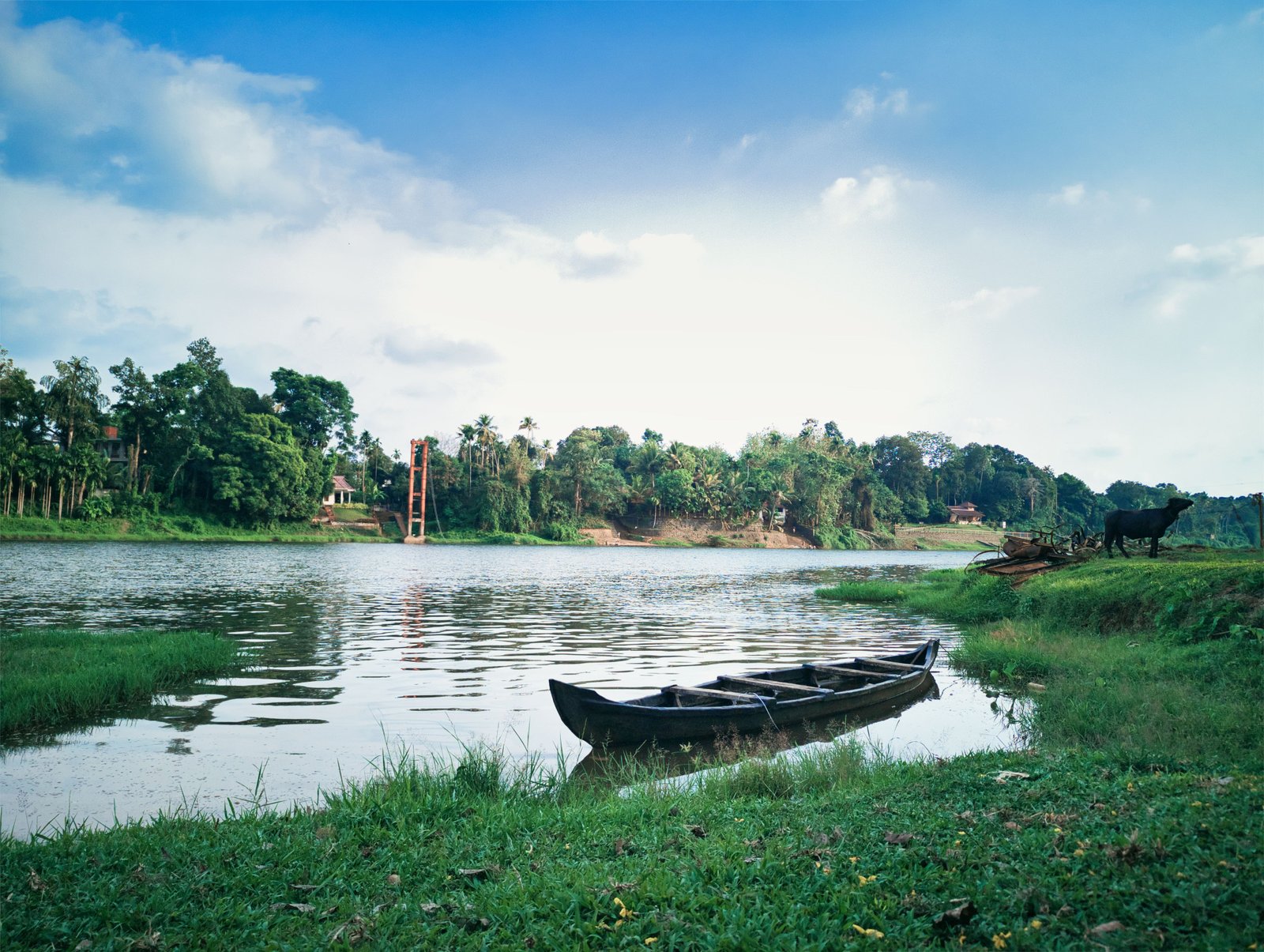 Munnar to Thekkady photo 1