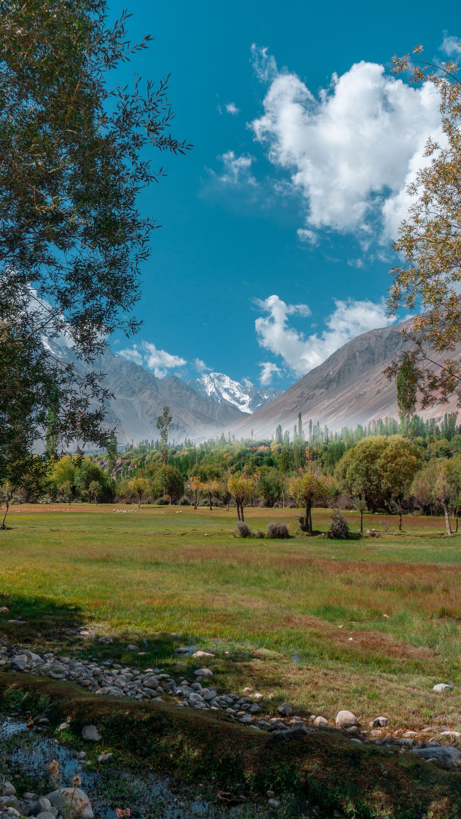 Leh to Nubra Group Drive photo 2