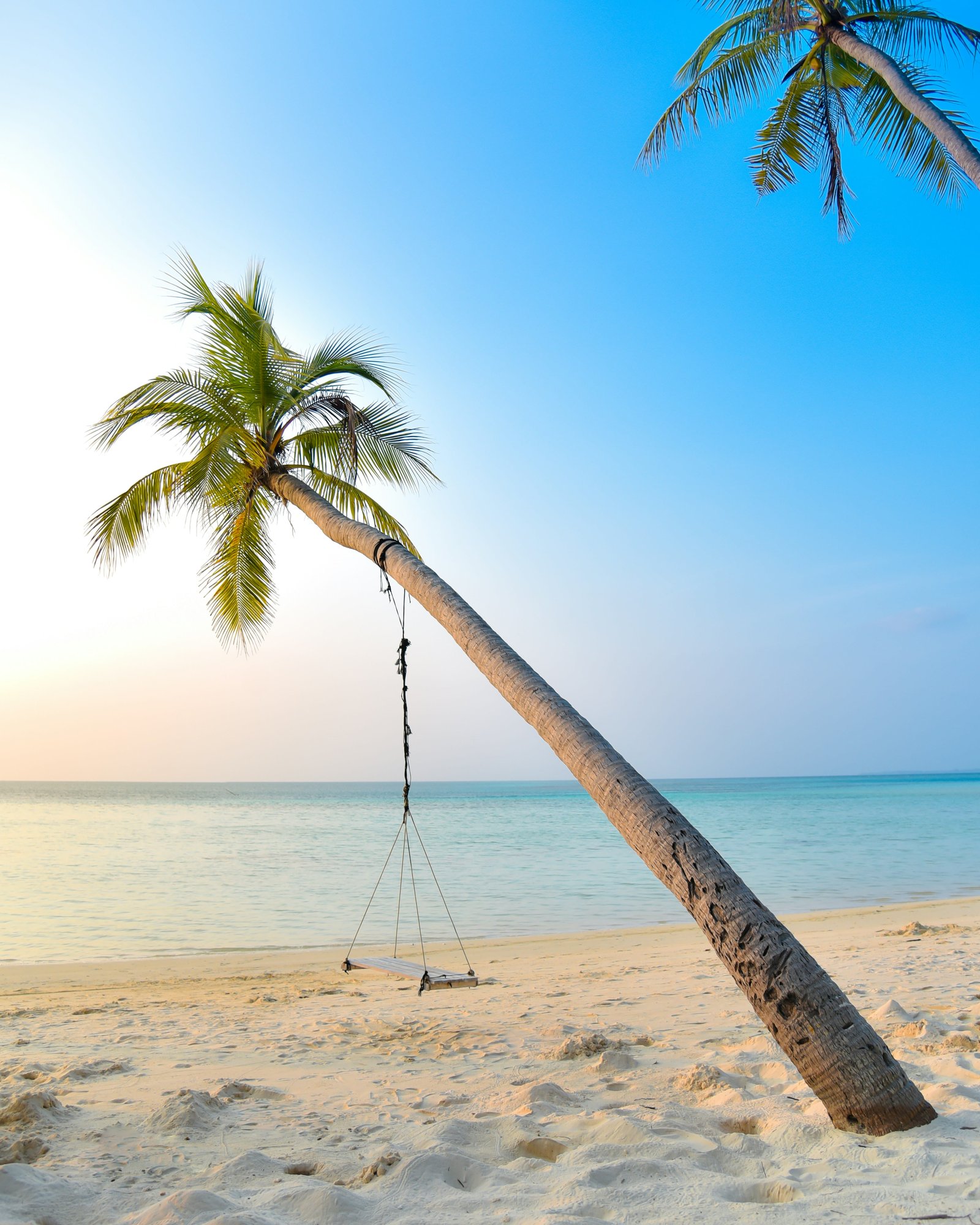 Wellness and Quiet Beach Day