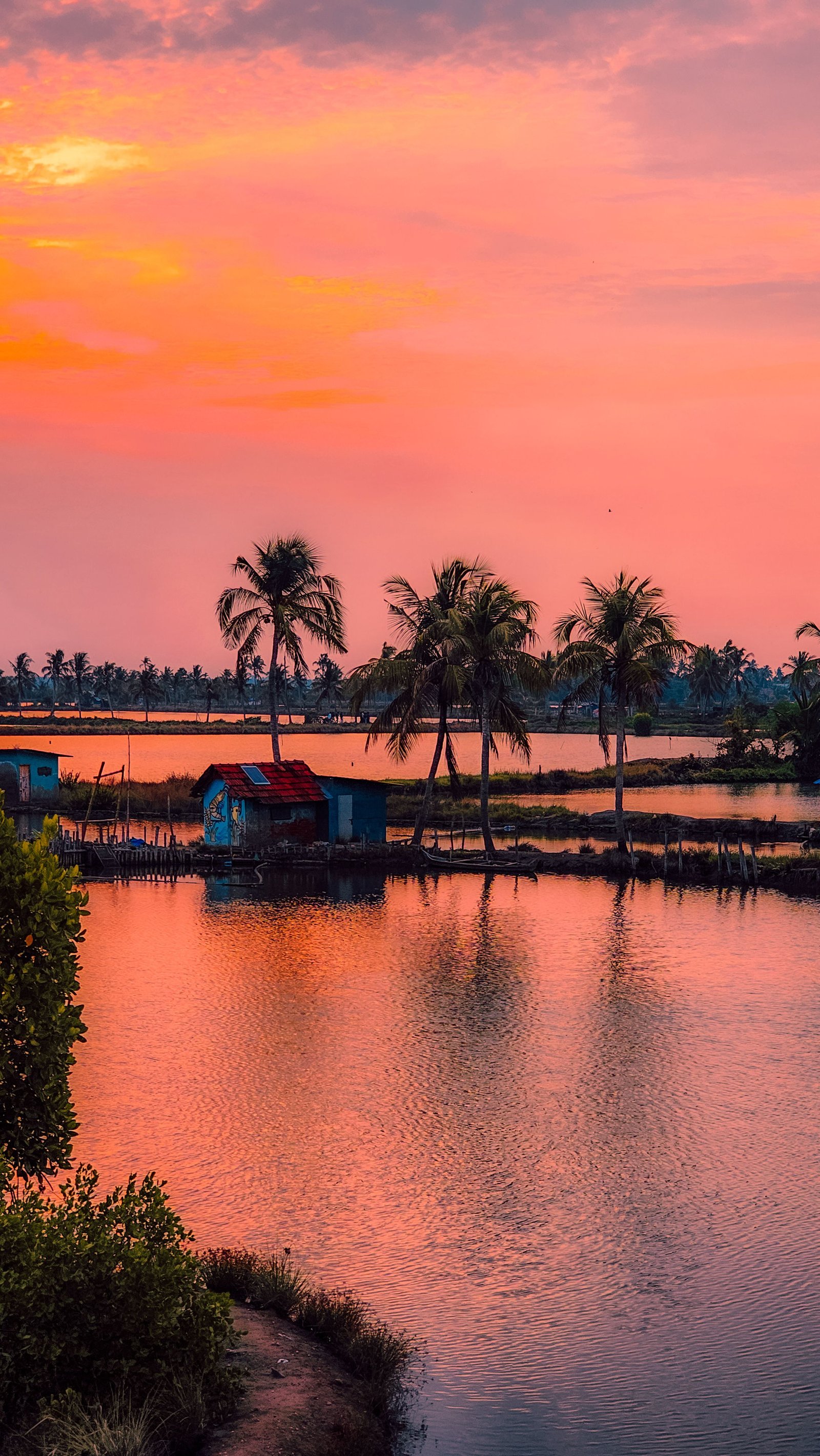 Alappuzha to Kochi photo 1