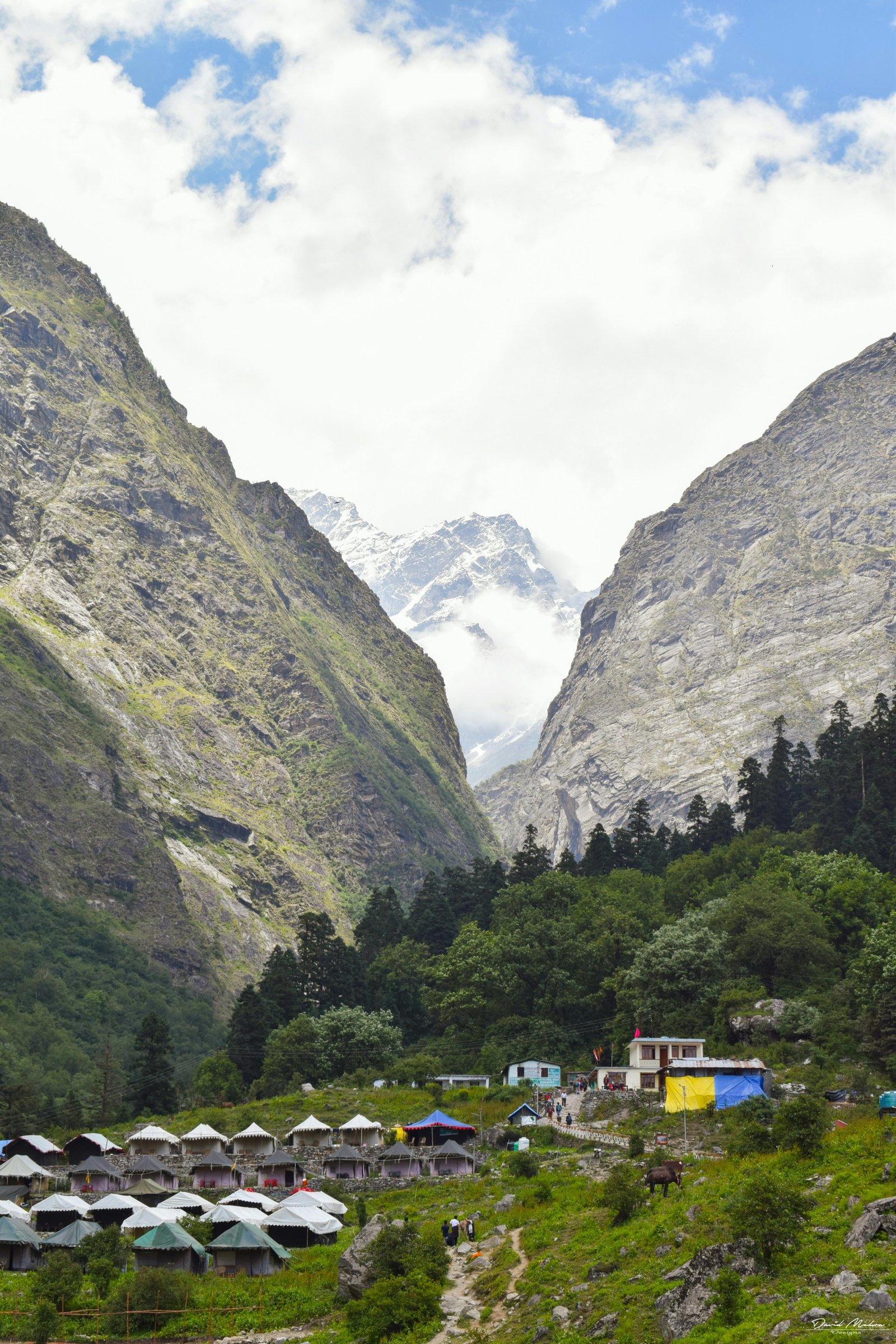 Valley of Flowers Trek photo 2