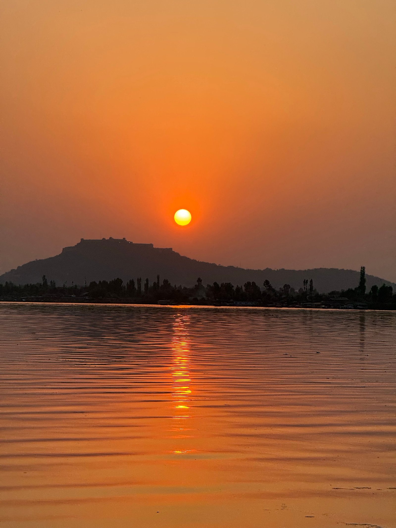 Spring Welcome on Dal Lake
