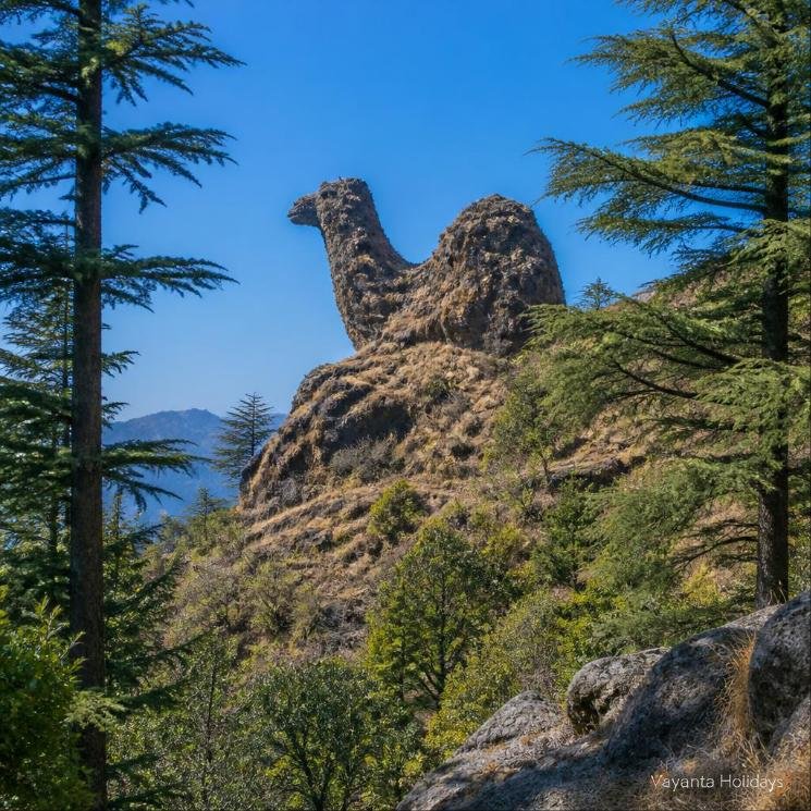 Mussoorie Sightseeing photo 1
