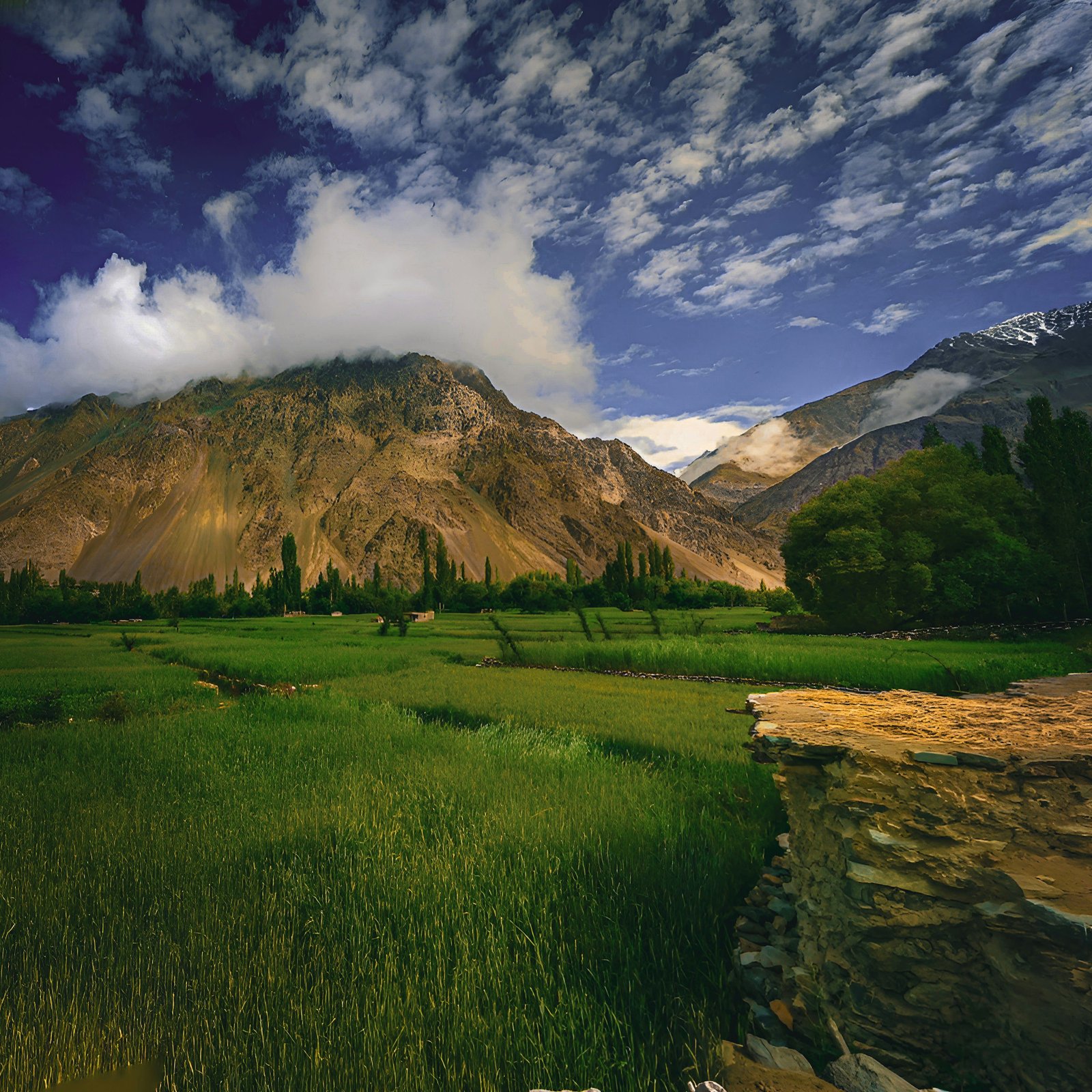 Srinagar to Pahalgam photo 2