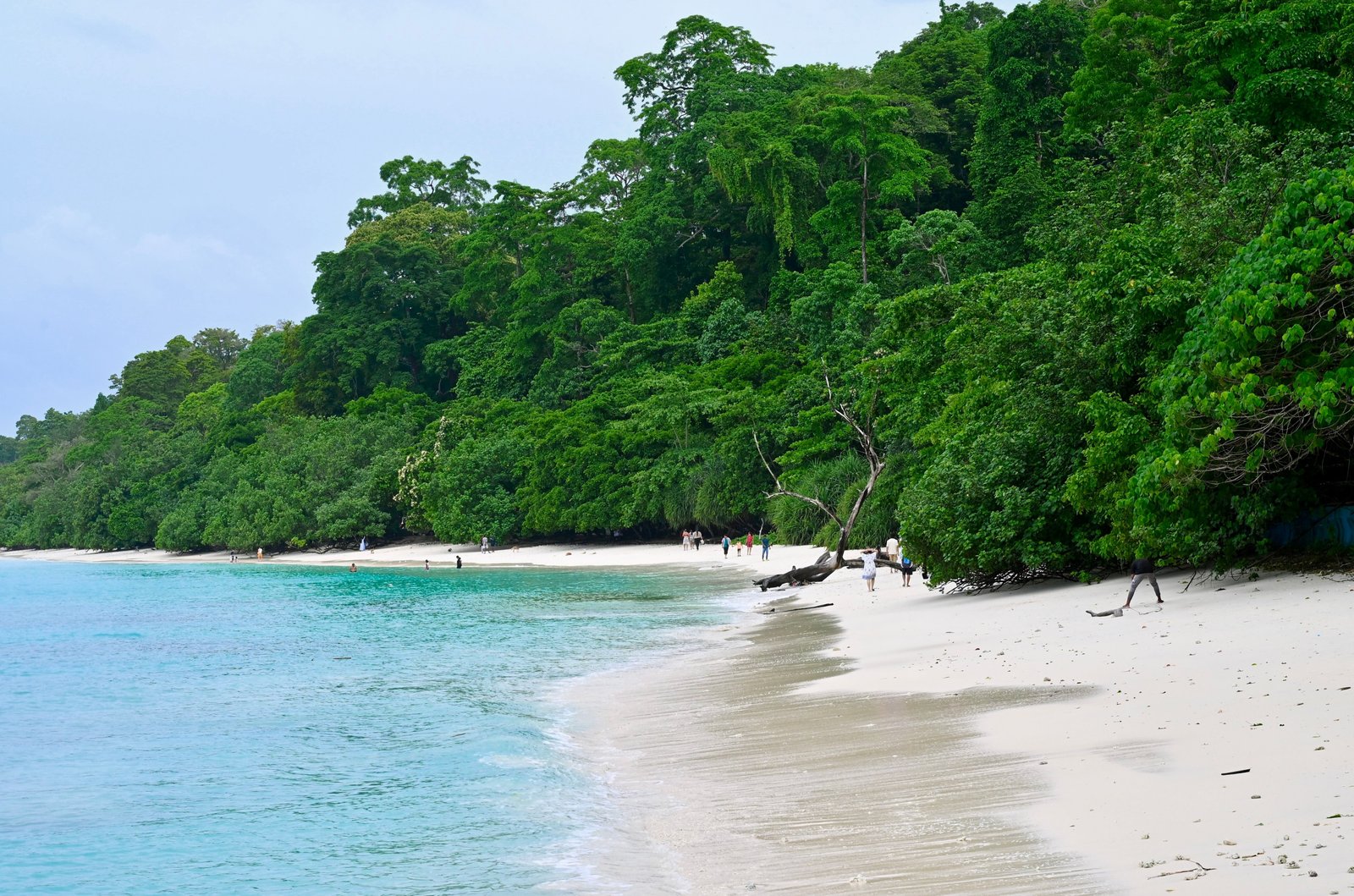 Port Blair to Swaraj Dweep