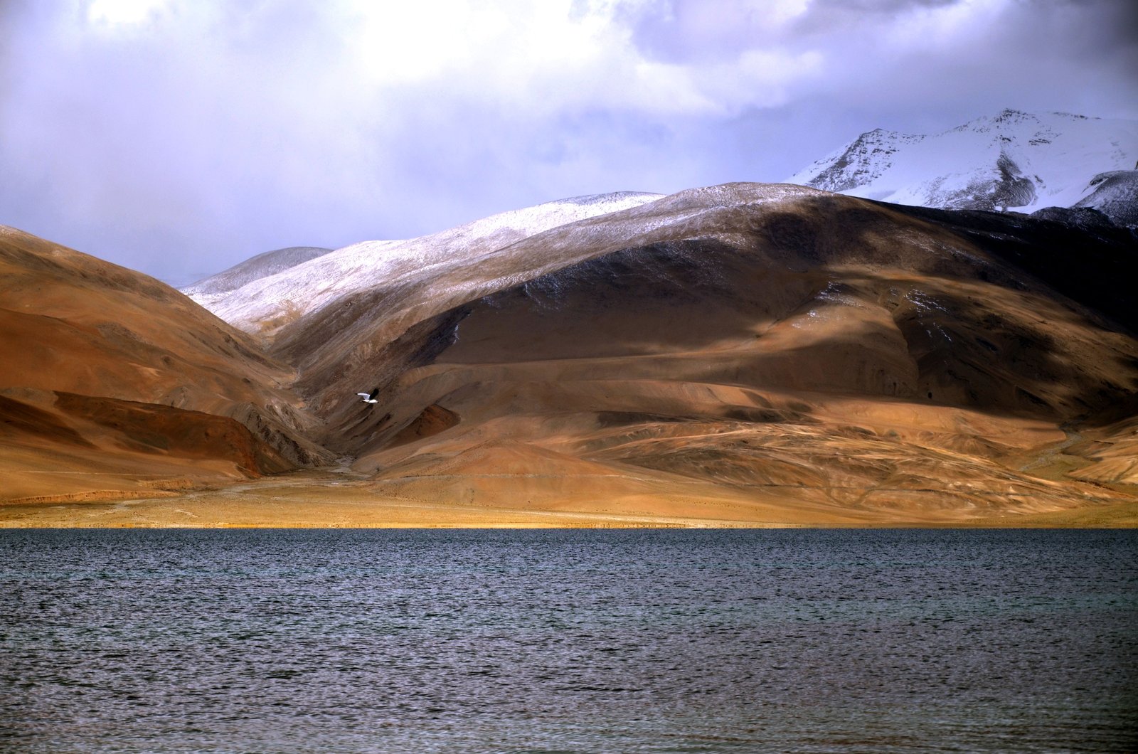 Hanle to Tso Moriri photo 2