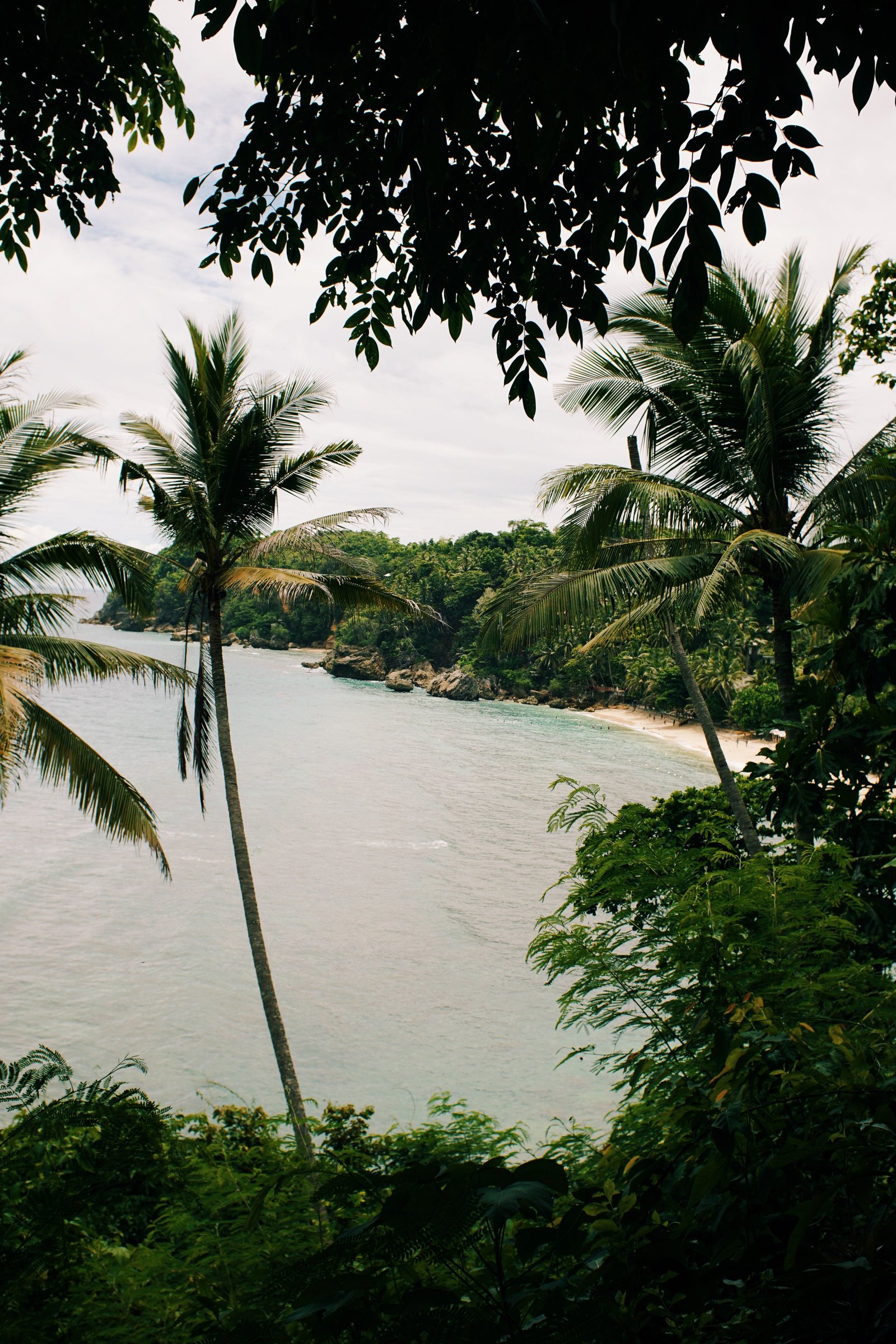 North Goa Farewell