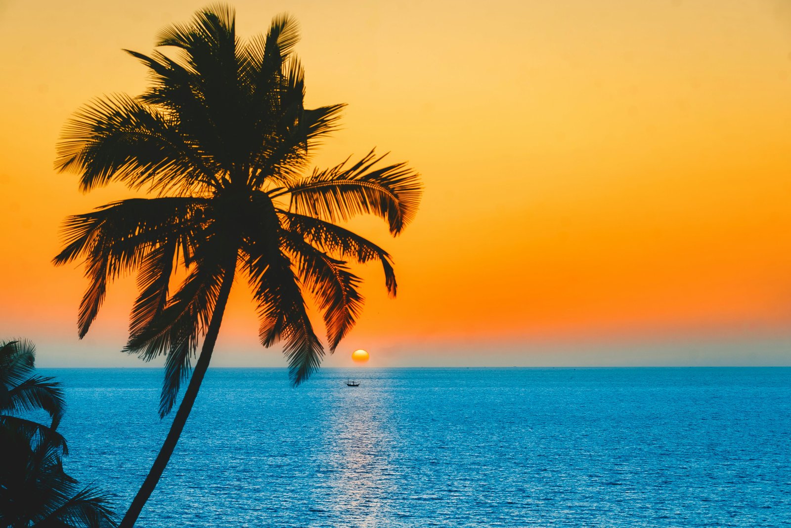 Romantic Goa Honeymoon | 4 Nights 5 Days