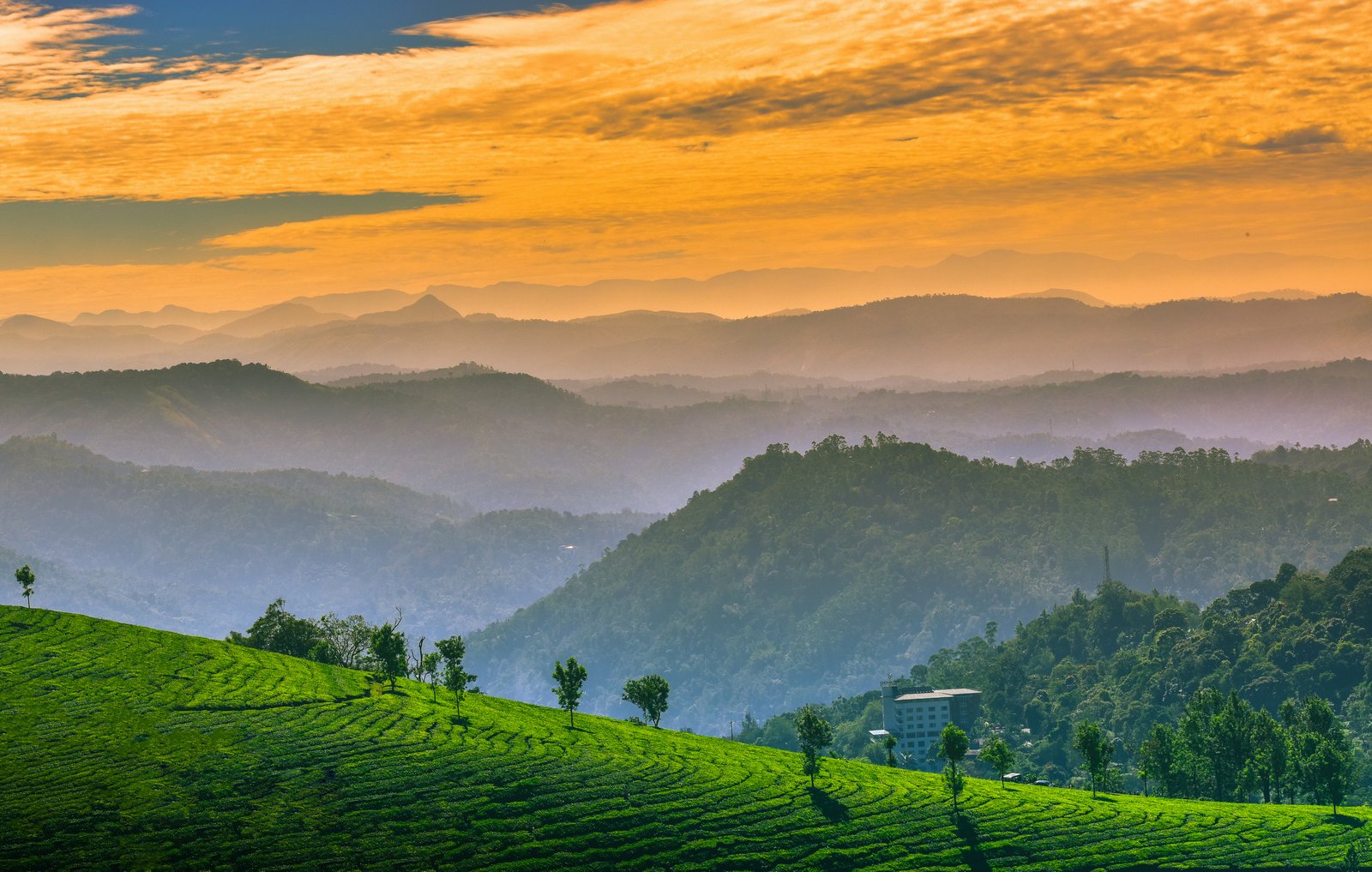 Wayanad to Kozhikode