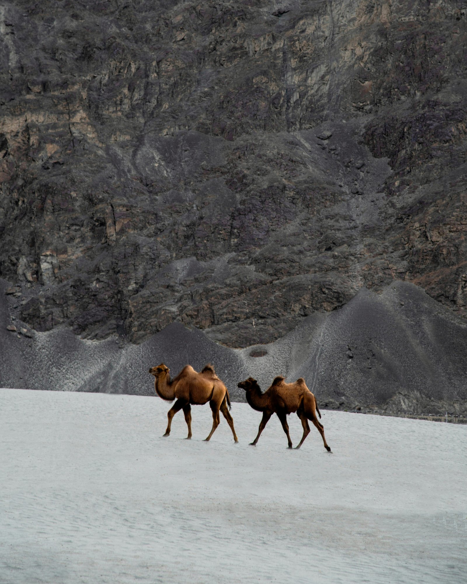 Leh to Nubra Valley photo 1