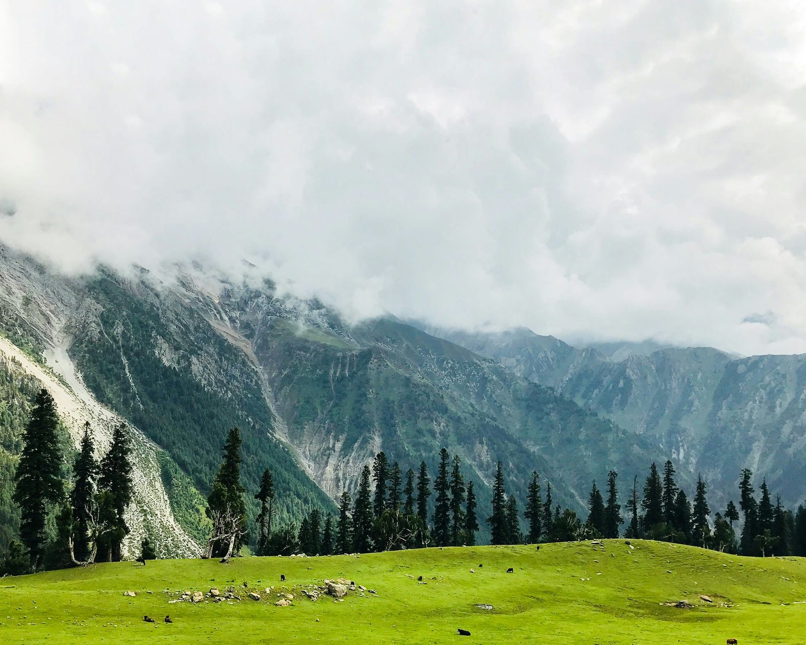 Gulmarg Excursion photo 1
