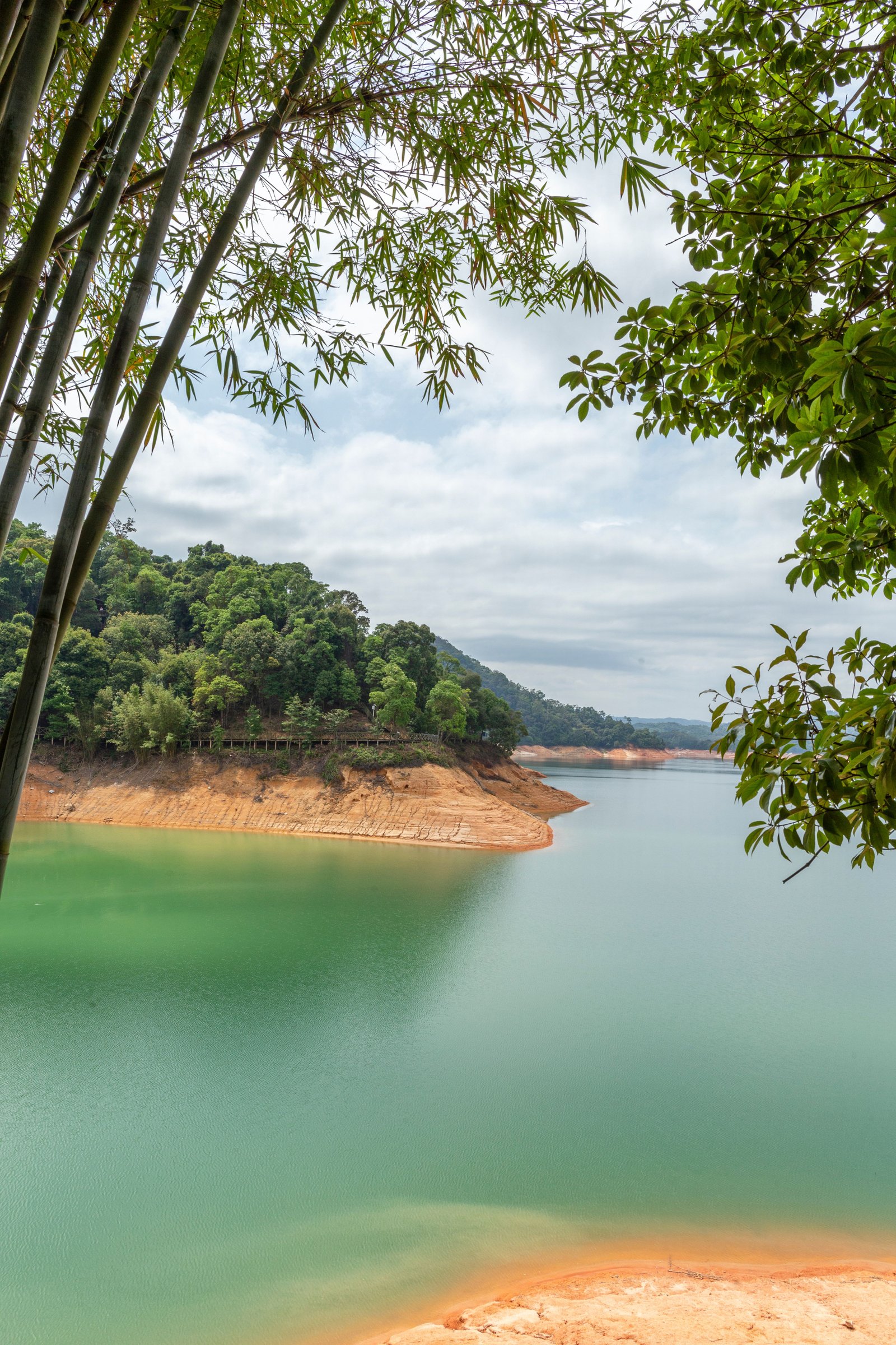Wayanad to Kozhikode