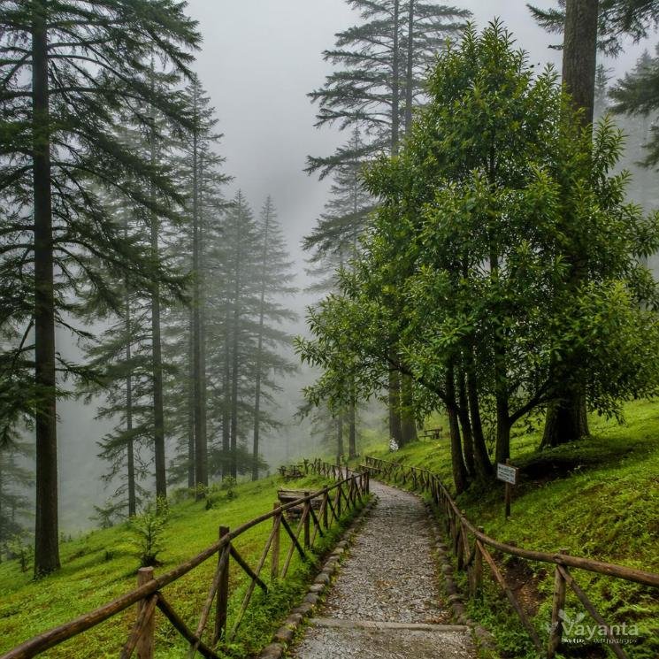 Kanatal to Dehradun photo 1
