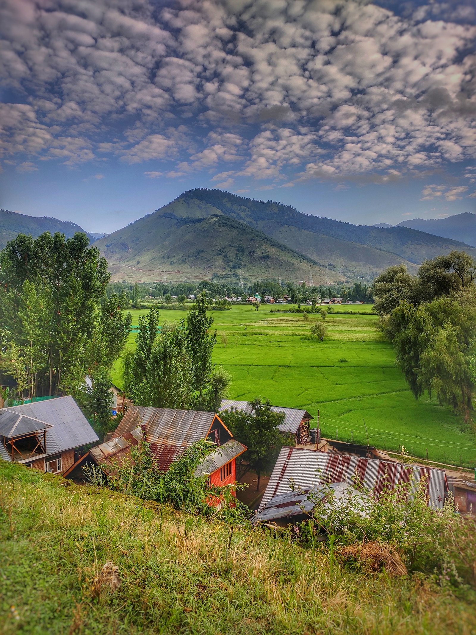 Gulmarg Leisure and Tangmarg photo 2
