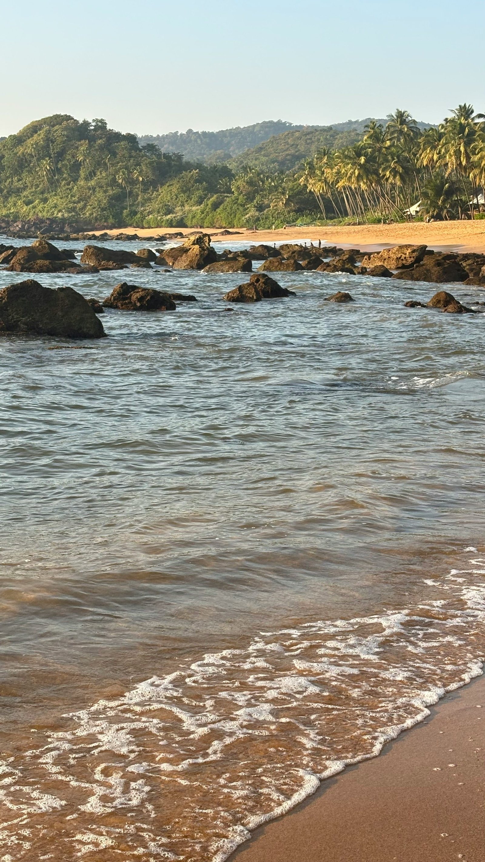 Panjim and Mandovi Evening