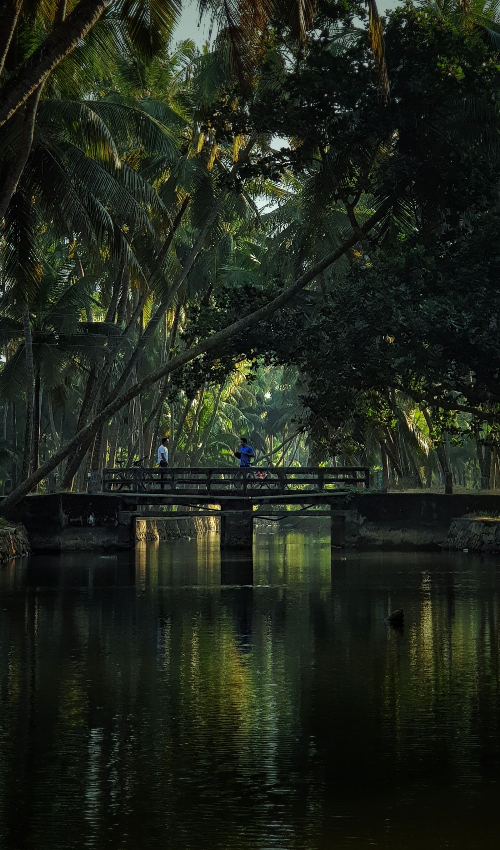 Wayanad Heritage Day photo 1