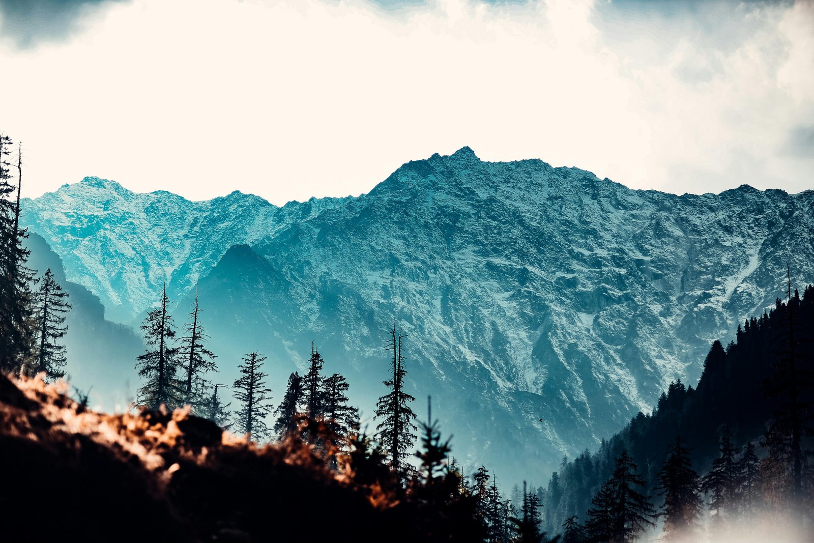 Manali Local Sightseeing photo 1