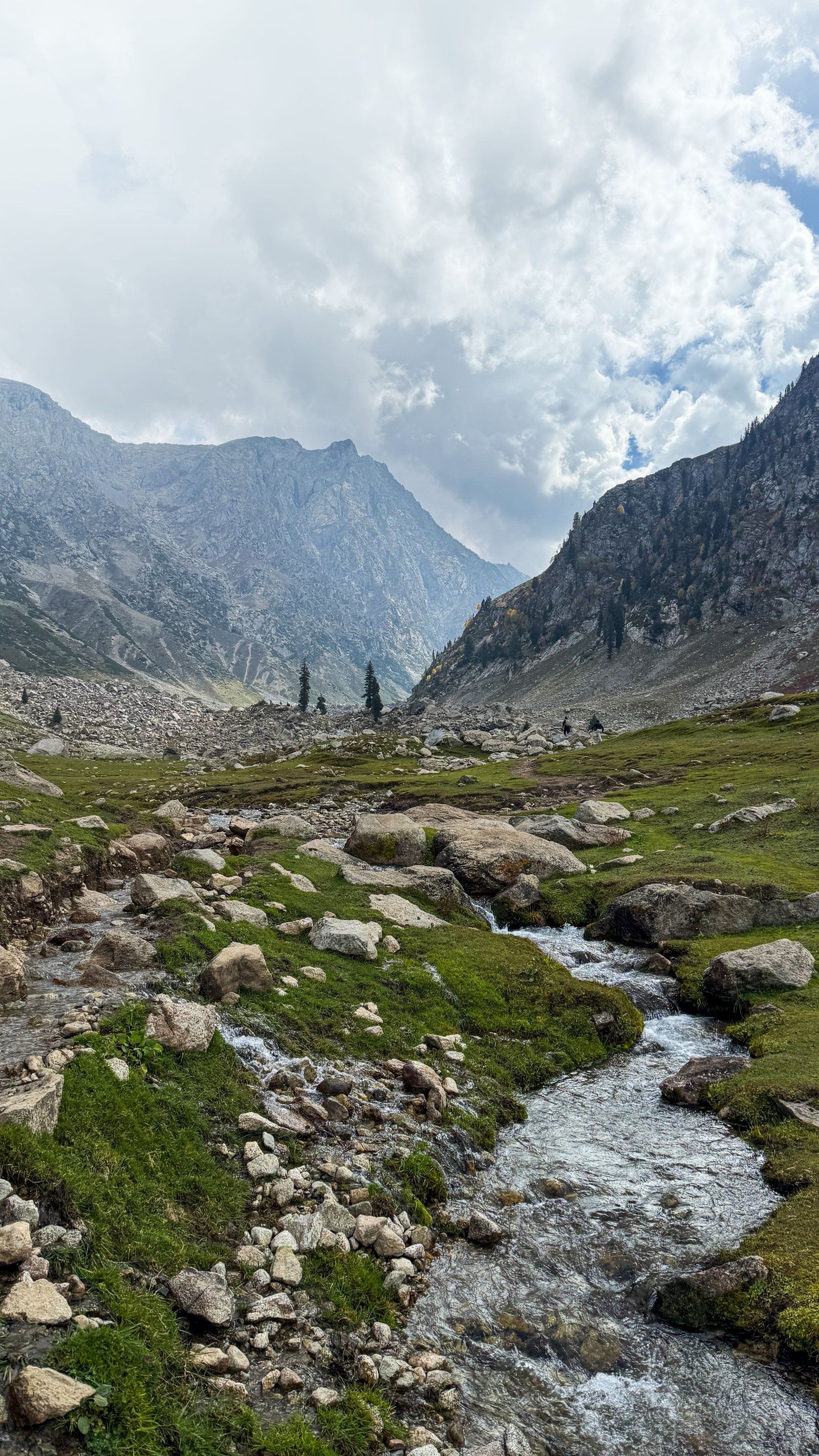 Pahalgam Valleys photo 2