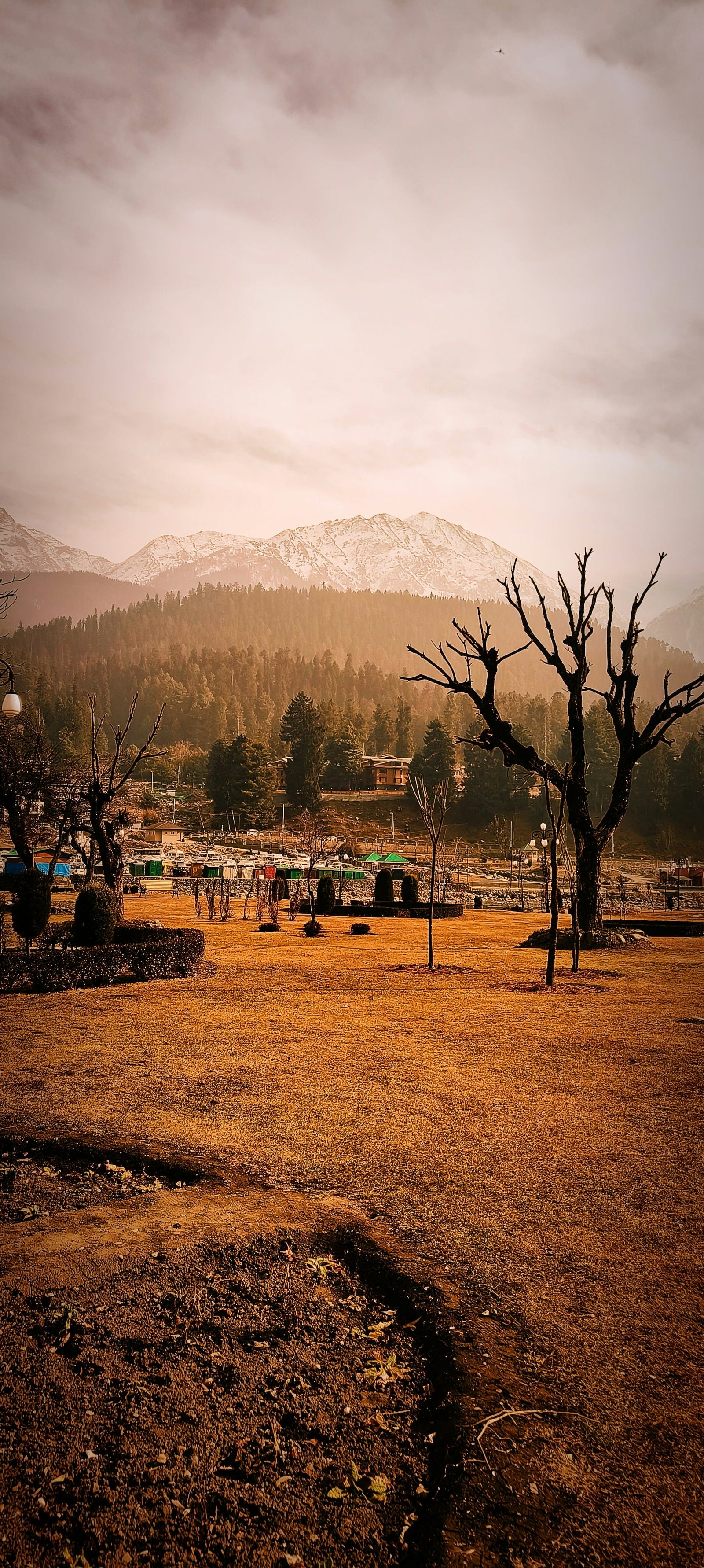 Pahalgam Group Farewell photo 1