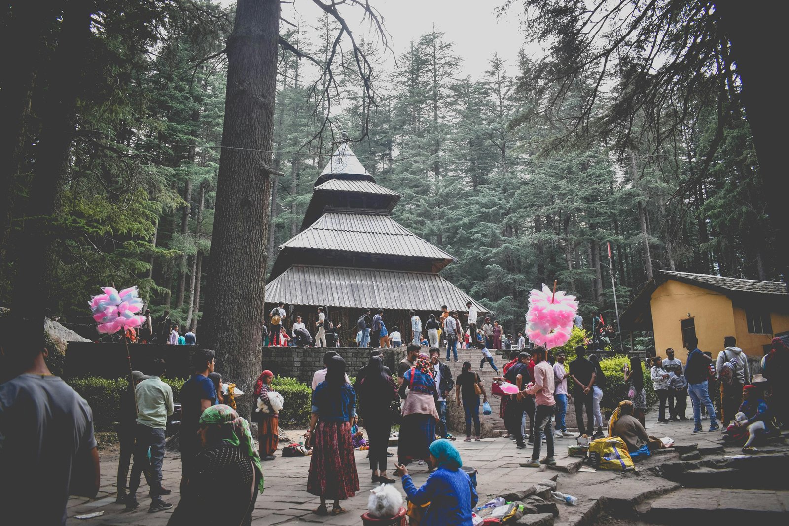 Manali Local Sightseeing