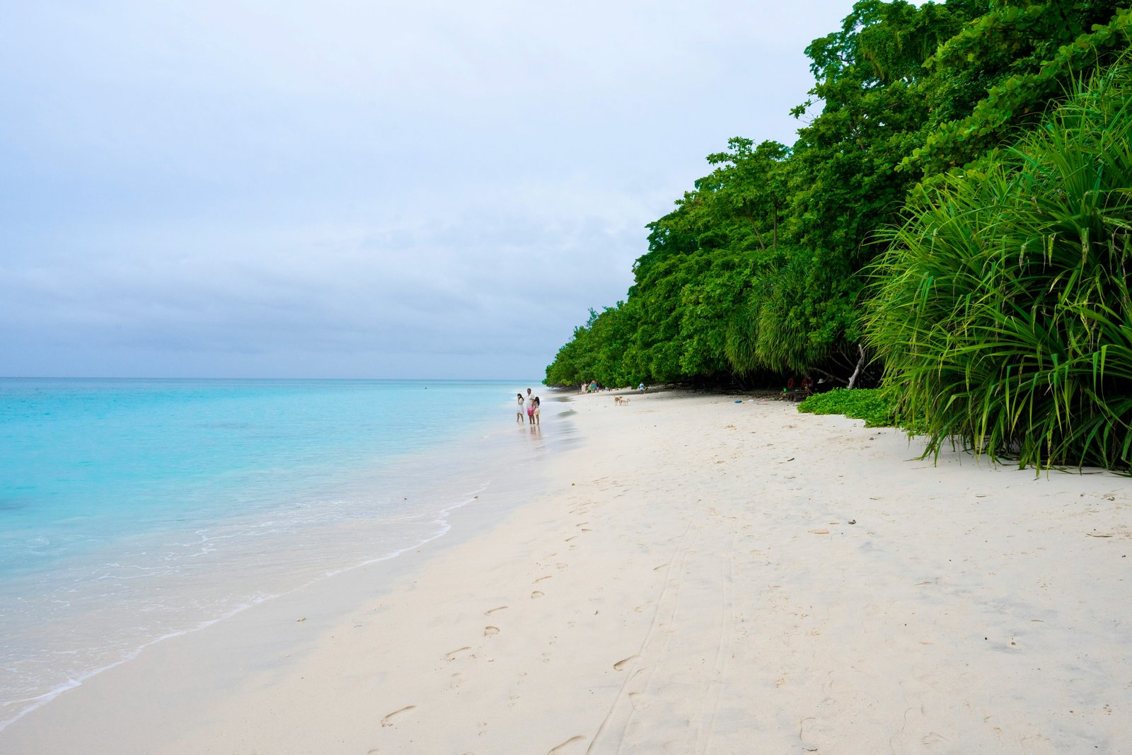 Rangat Mangroves and Beaches