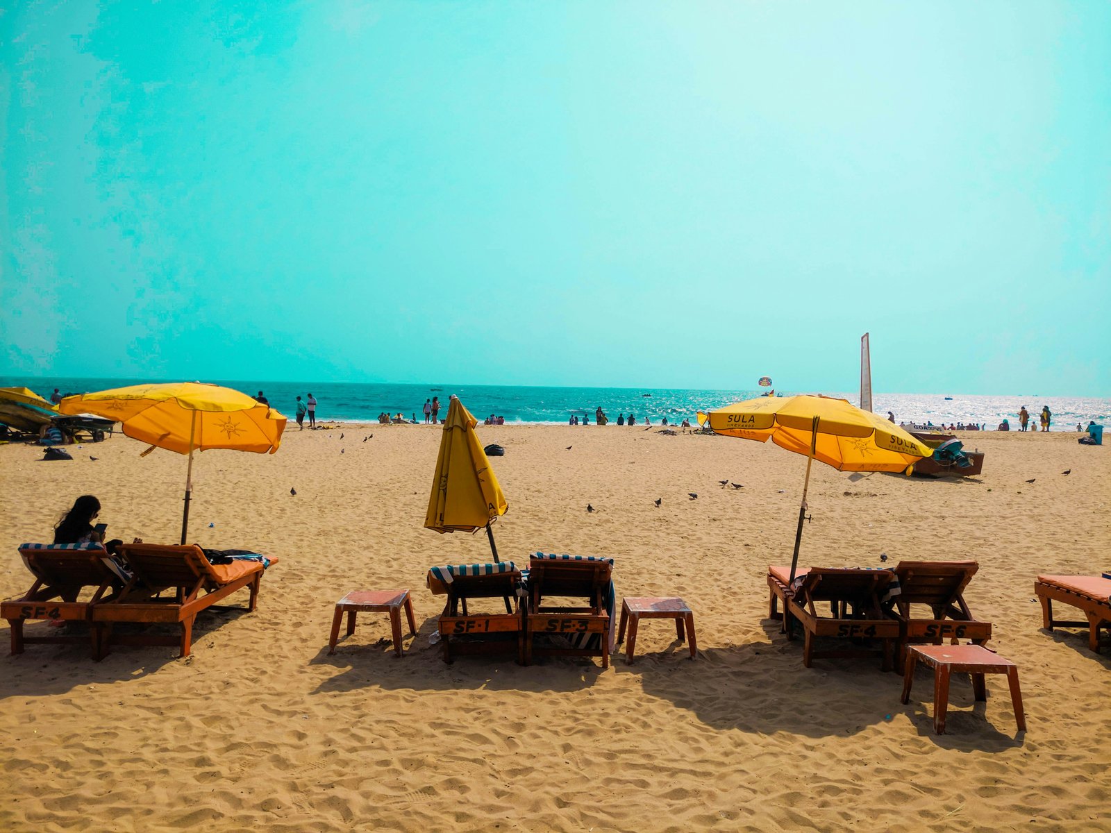 South Goa Welcome photo 1