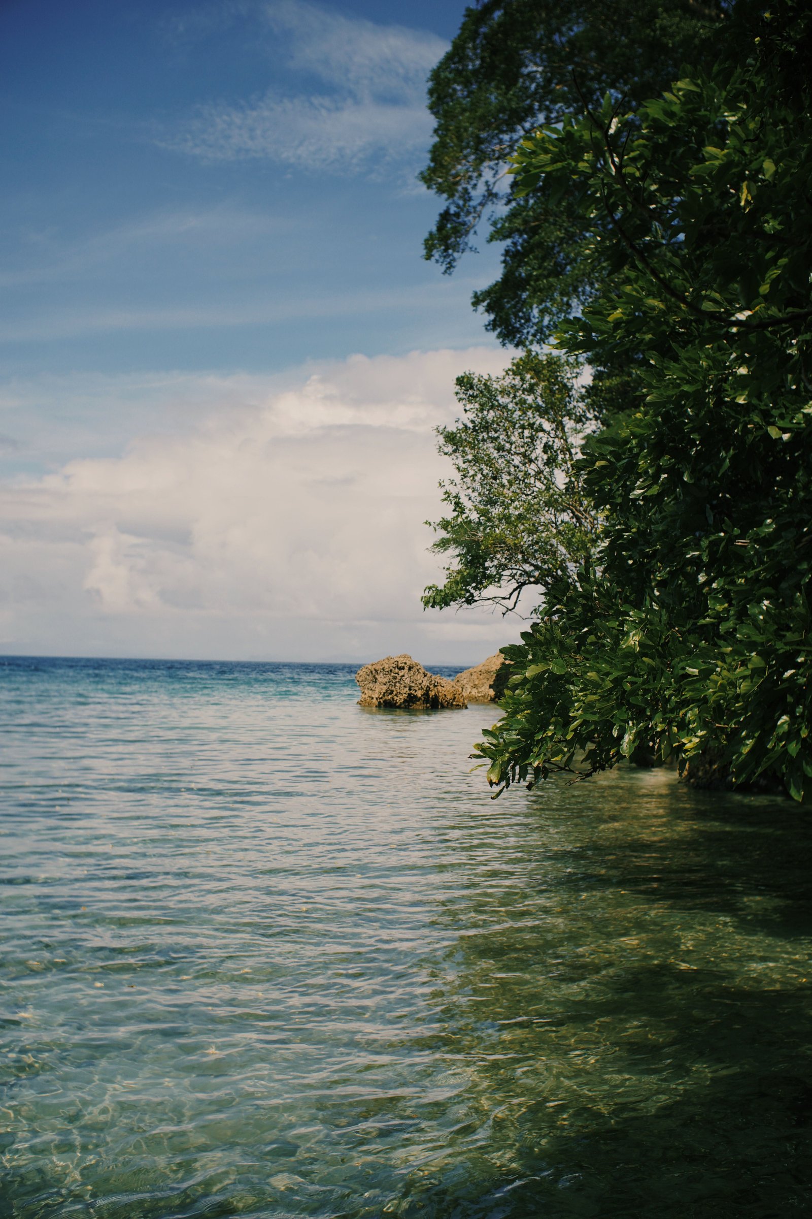 Elephant Beach Marine Day photo 1