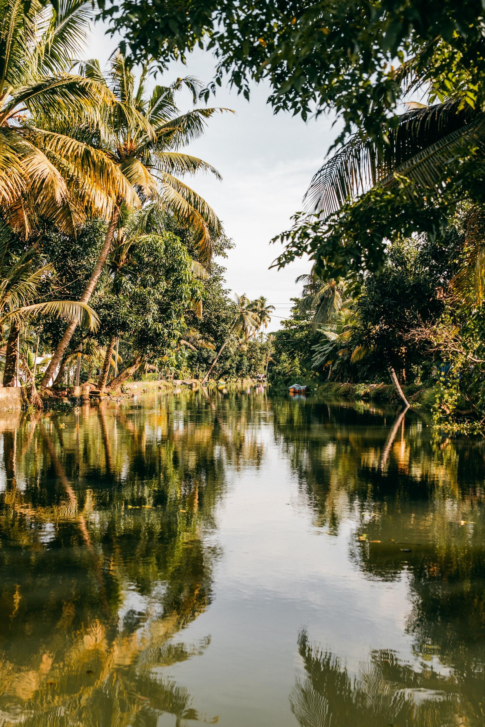 Kannur Culture and Coast photo 2