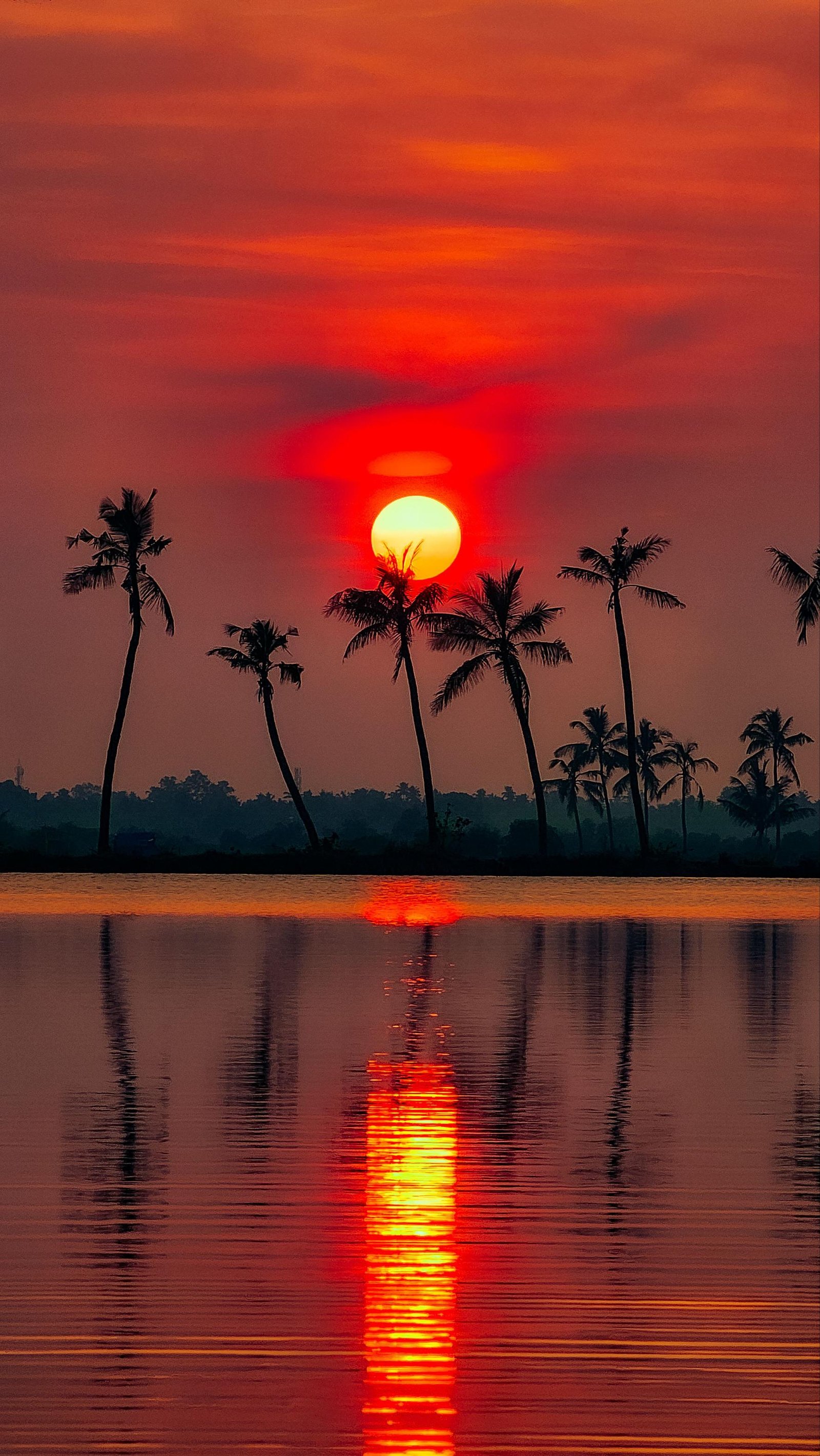 Kovalam Departure