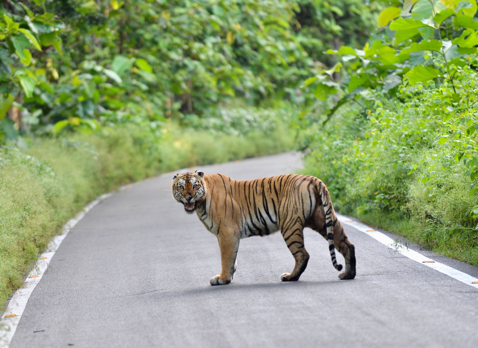 Periyar Nature Day photo 2