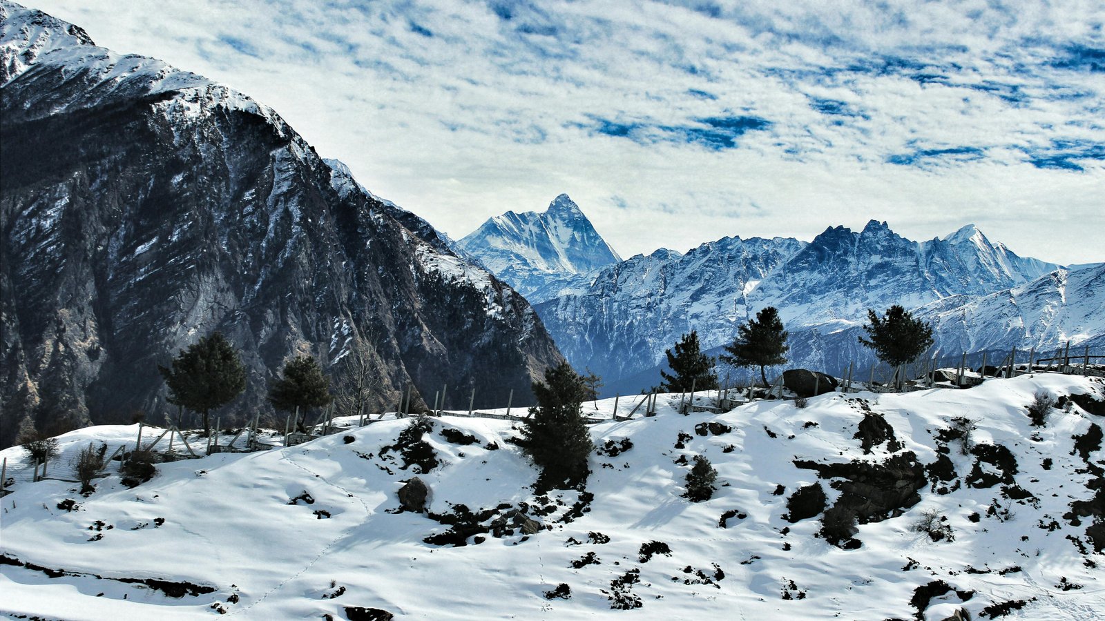 Auli Mountain Day photo 1