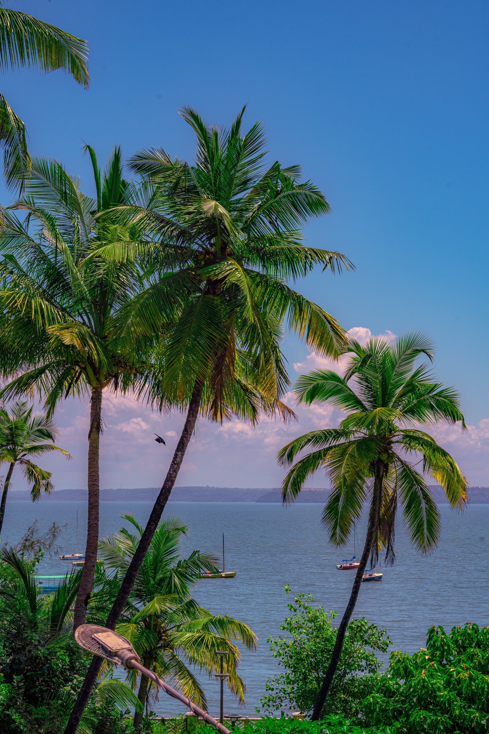 North Goa Forts and Coast photo 2