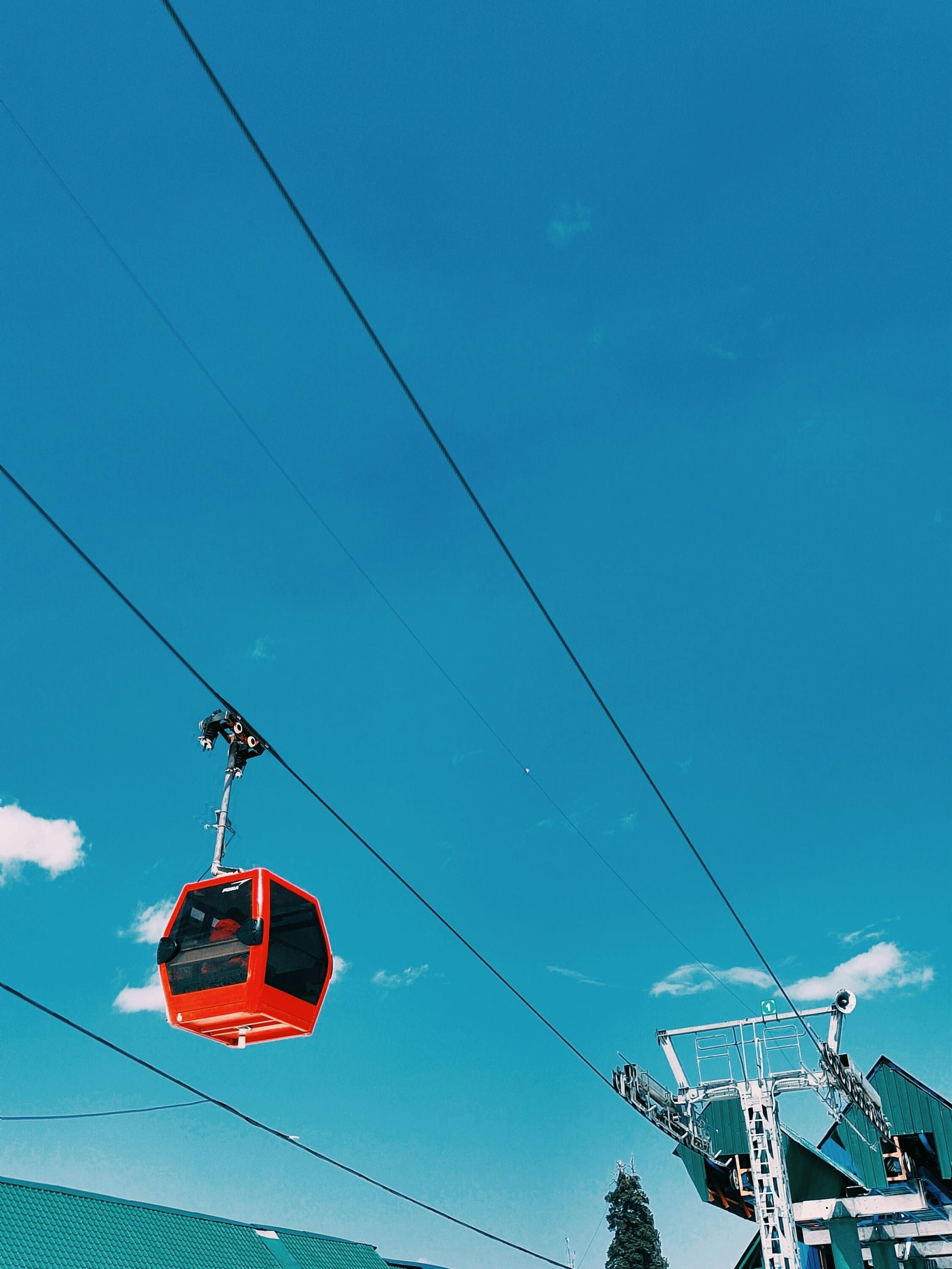 Gulmarg Excursion