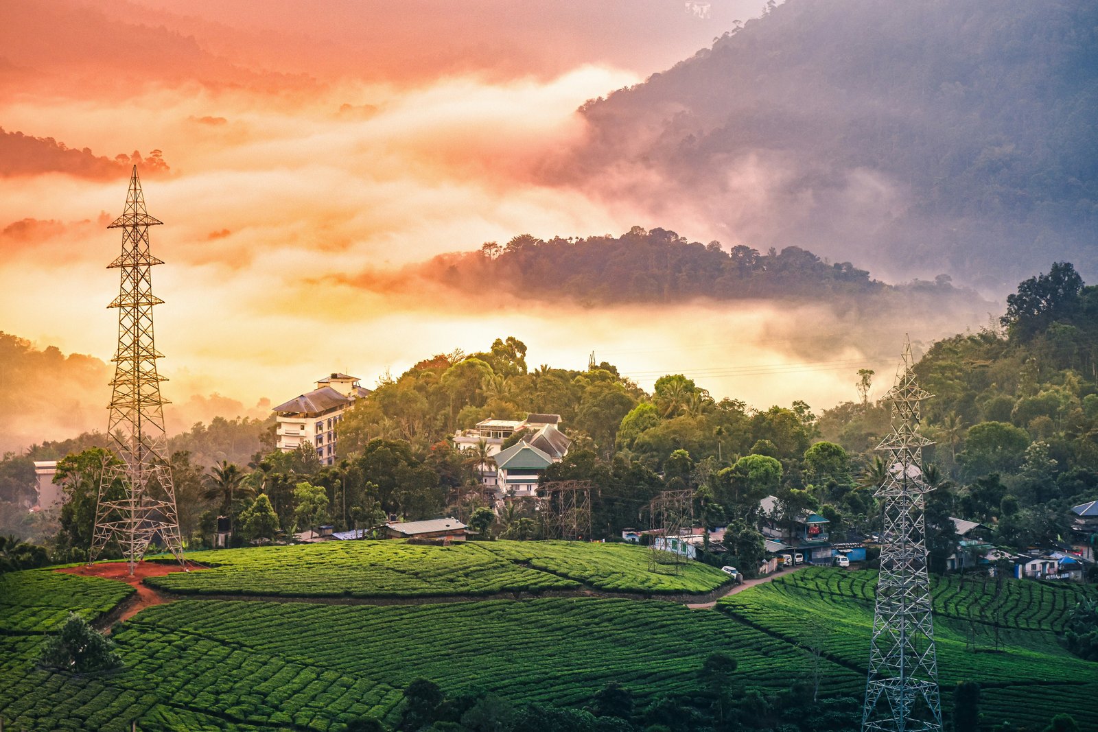 Munnar Highlights photo 2
