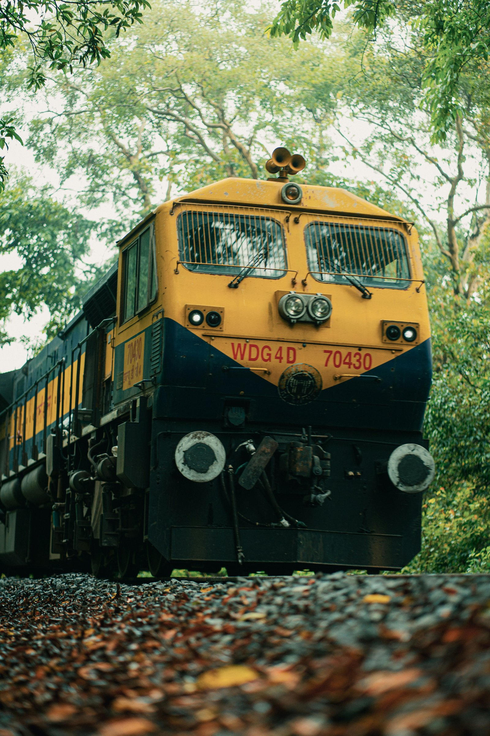 Goa Hinterland Discovery photo 1