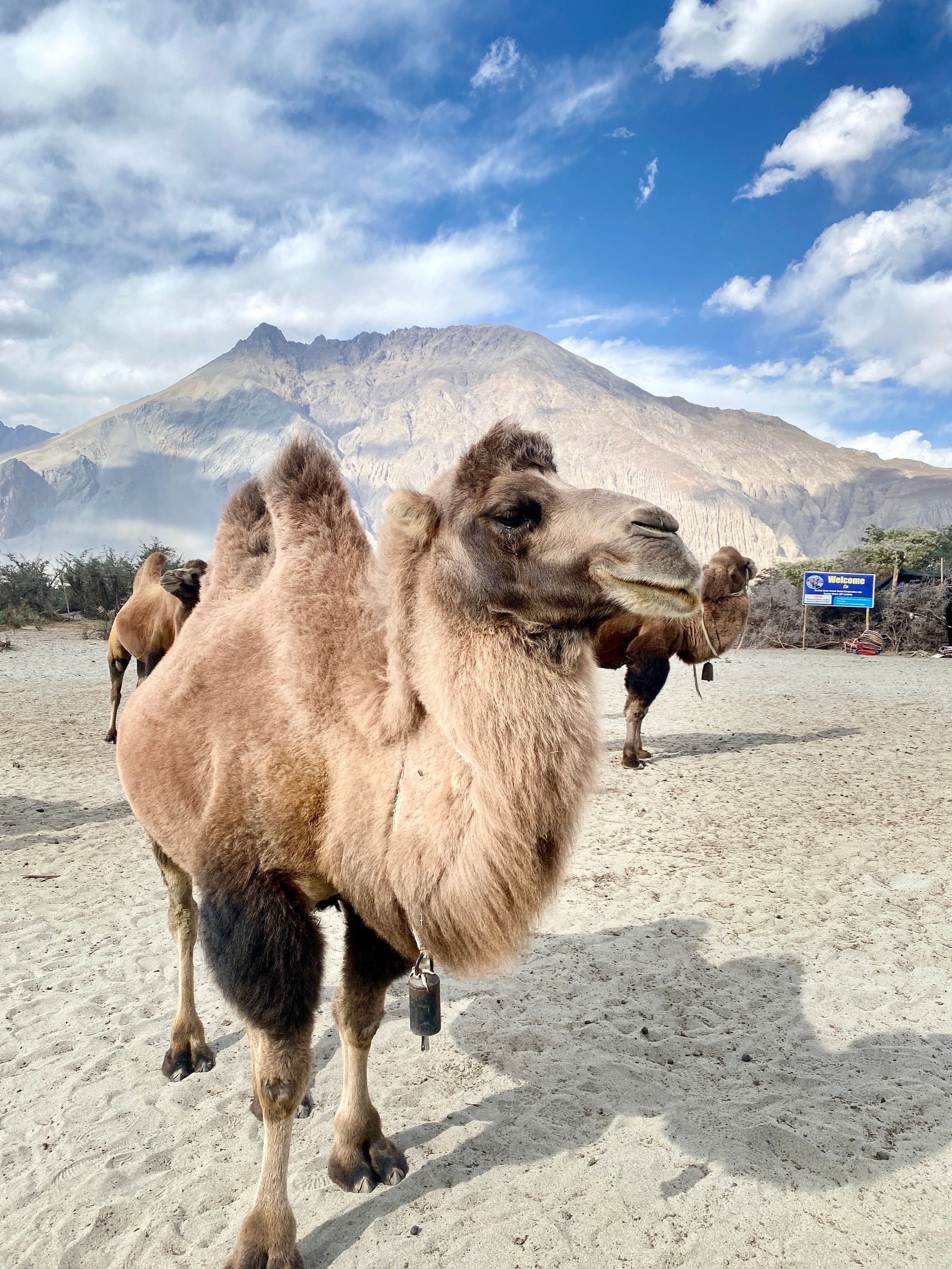 Leh to Nubra Valley photo 1