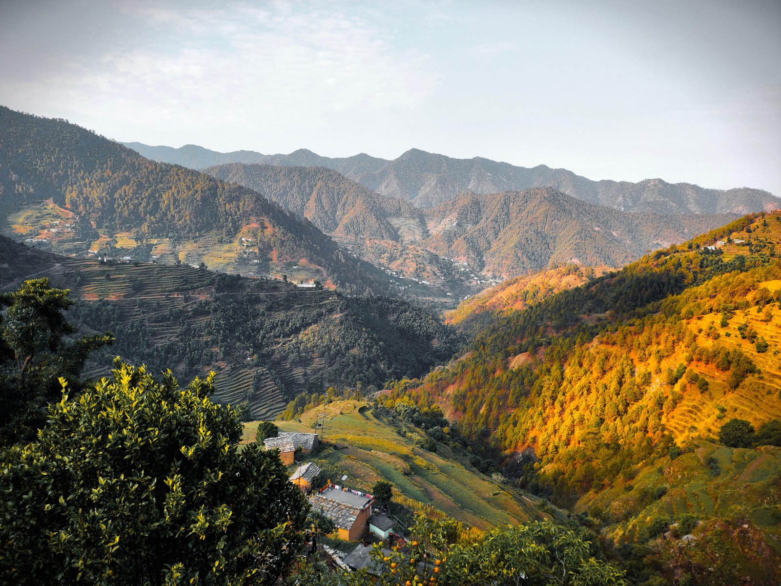 Delhi to Almora