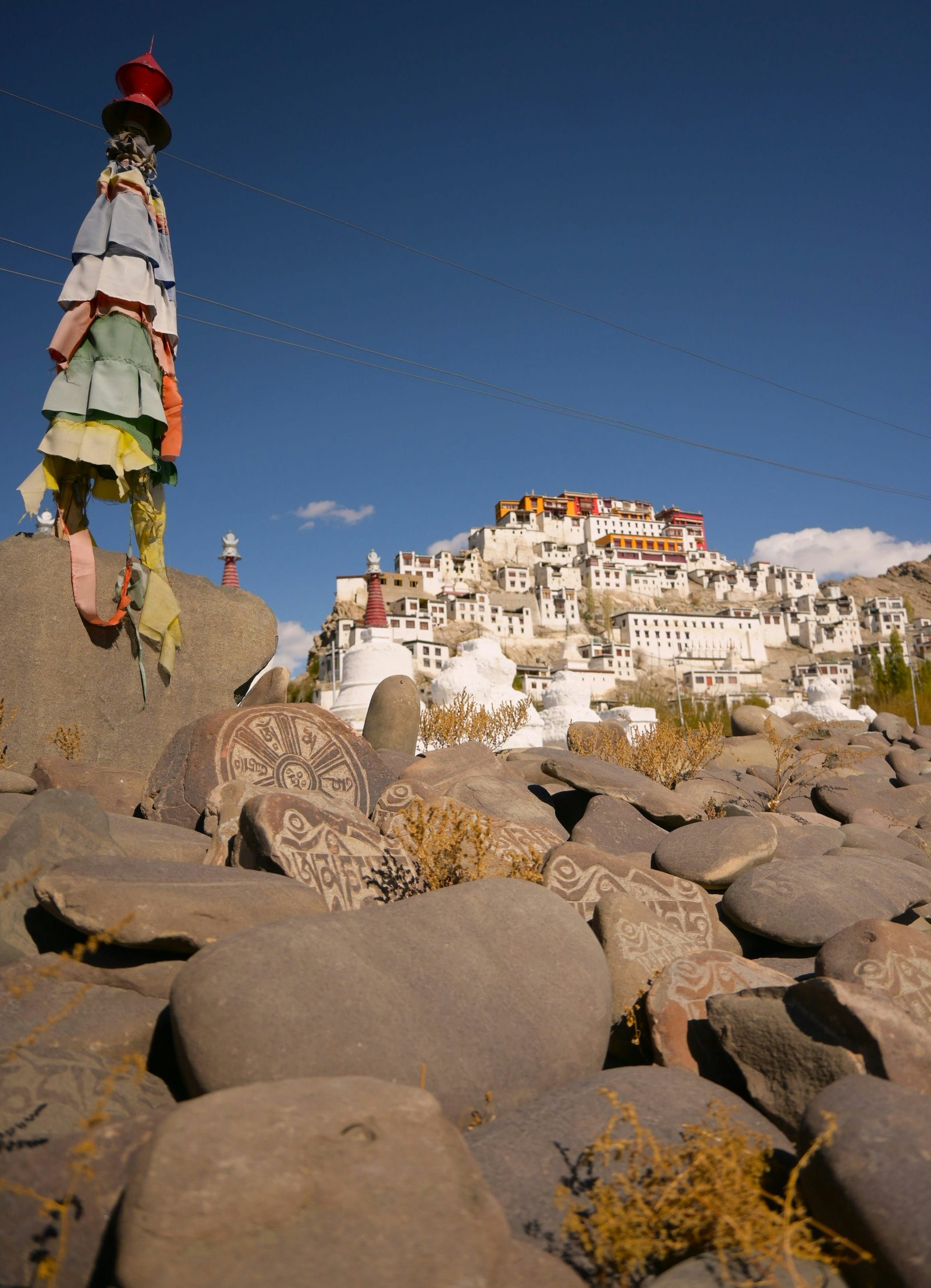 Leh Arrival and Gentle Acclimatisation photo 1