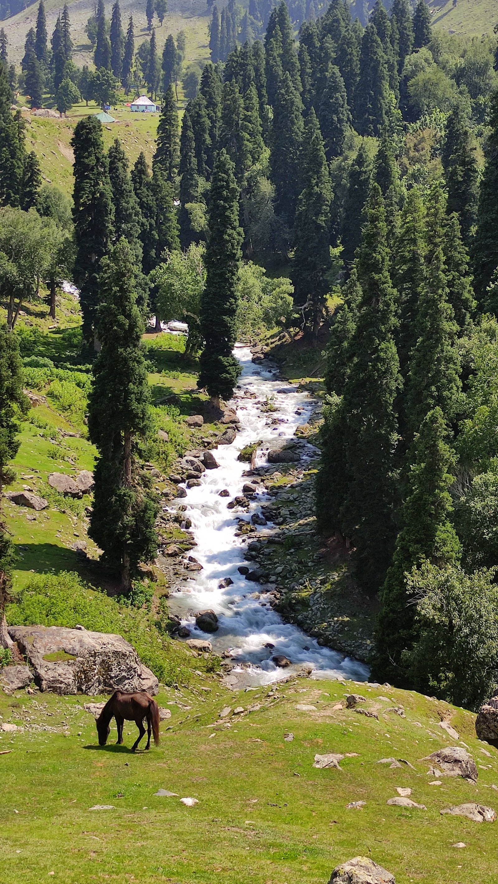 Pahalgam Valleys photo 1