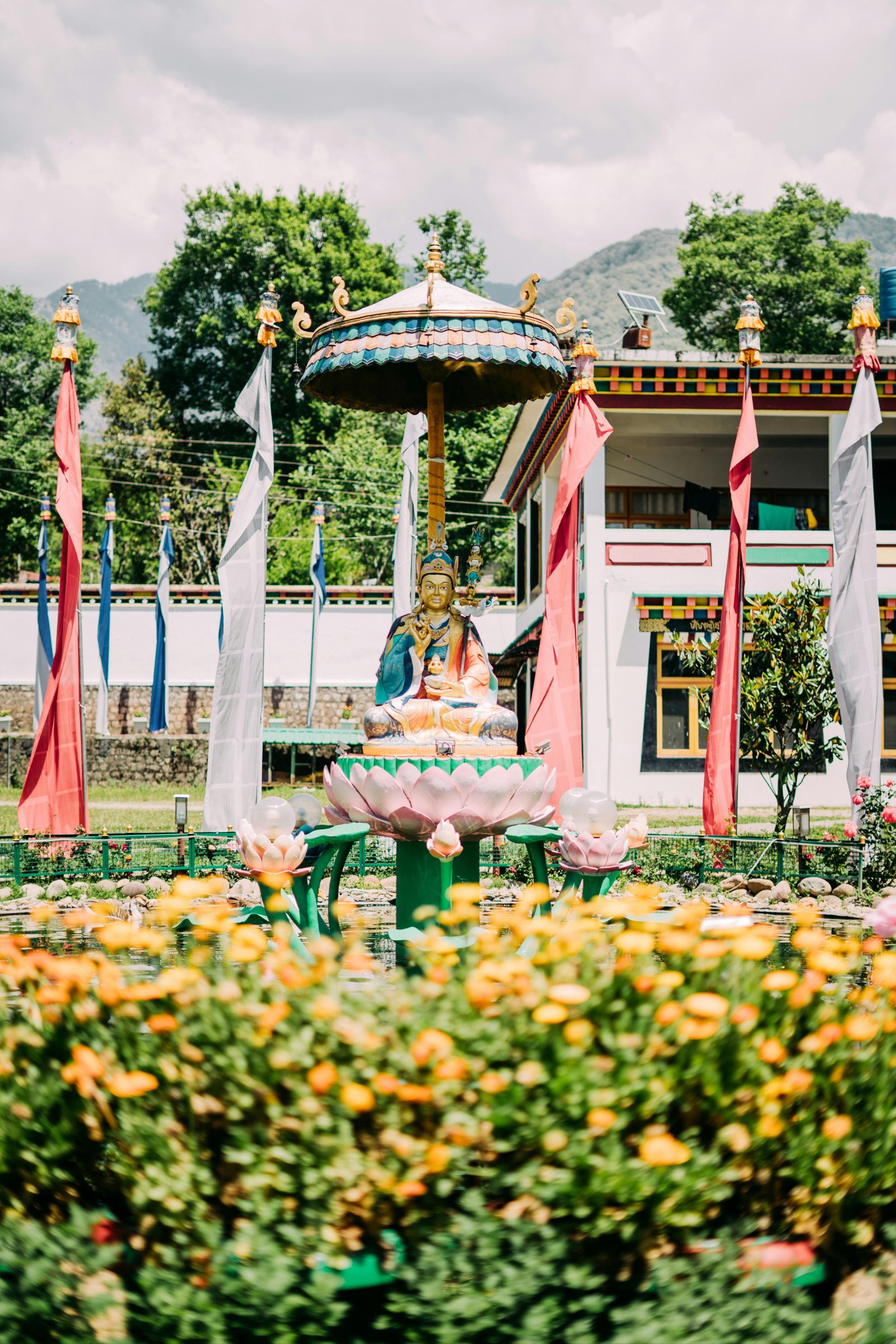 Bir Monasteries and Cycling photo 1