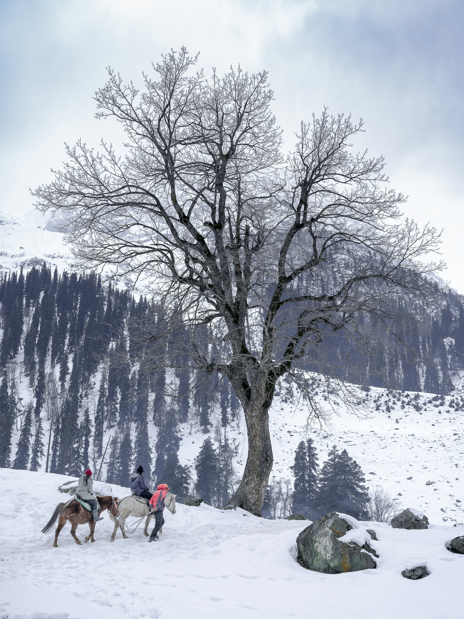 Gulmarg to Pahalgam photo 1