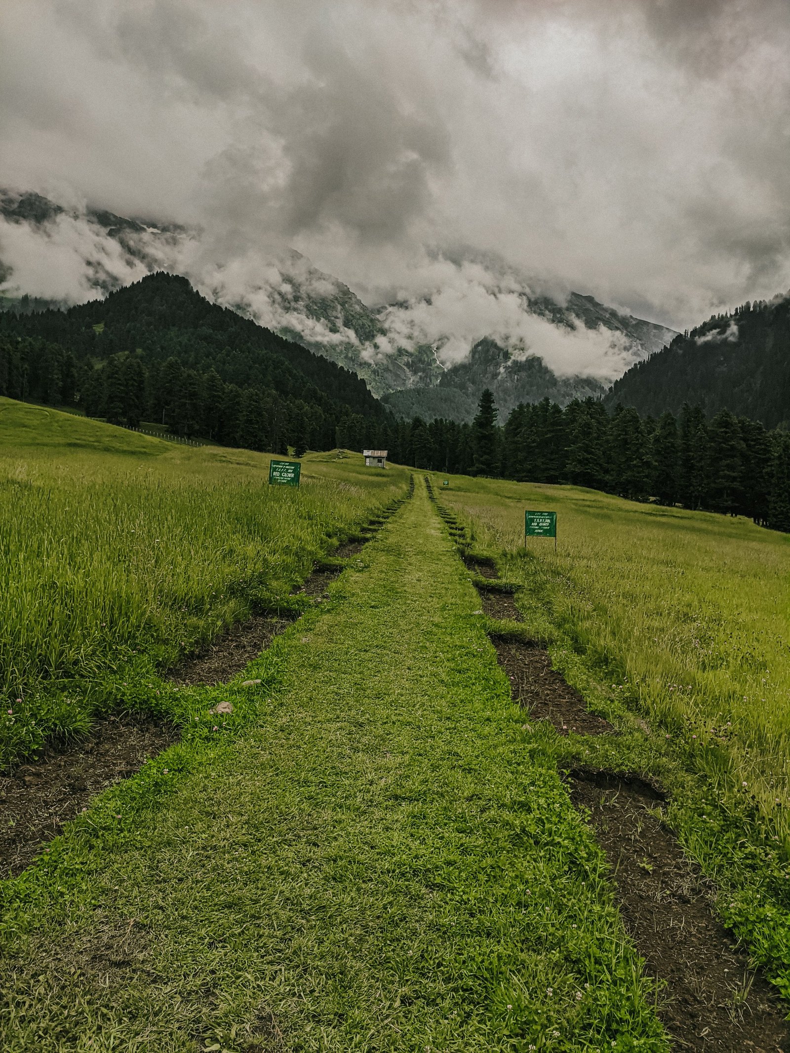 Pahalgam Valley Day photo 2