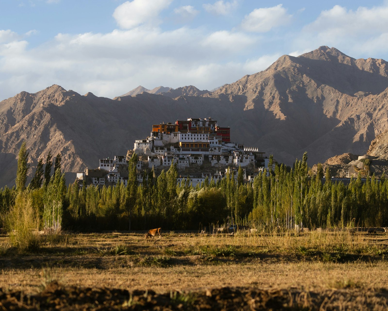 Leh Arrival and Gentle Acclimatisation photo 2